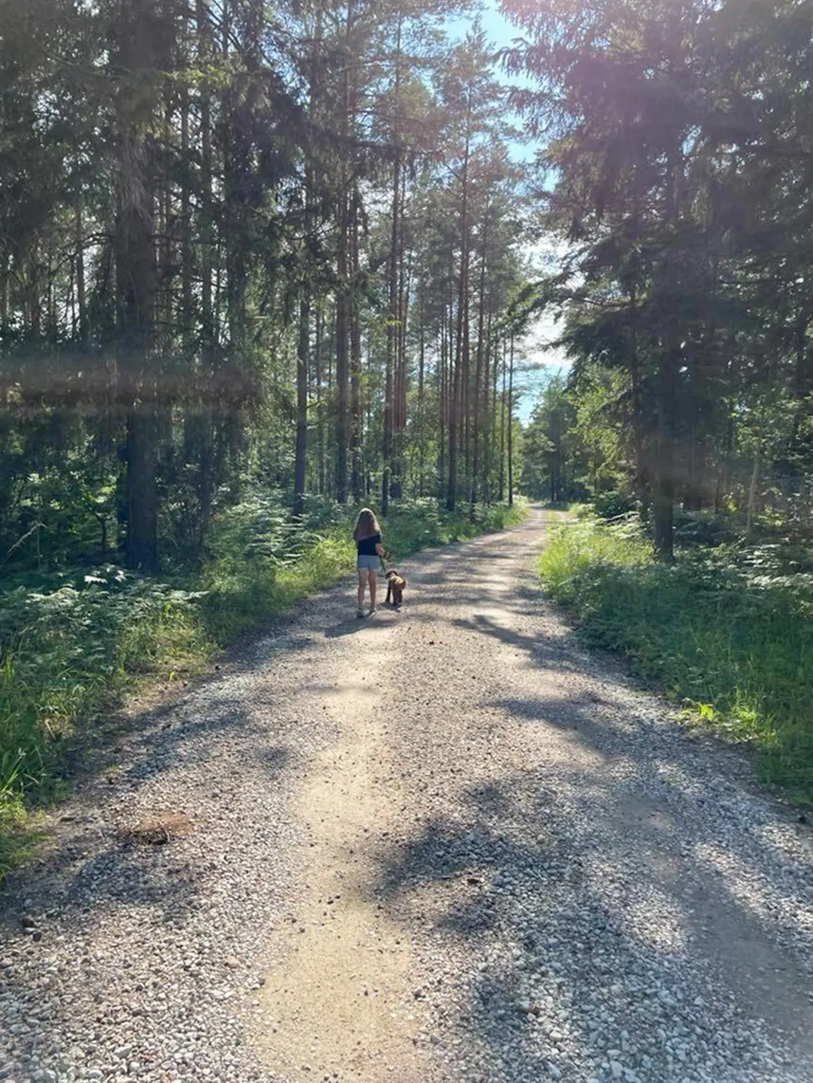 Modernt arkitektritat ladhus vid Ekstakusten – bild 18 av 18