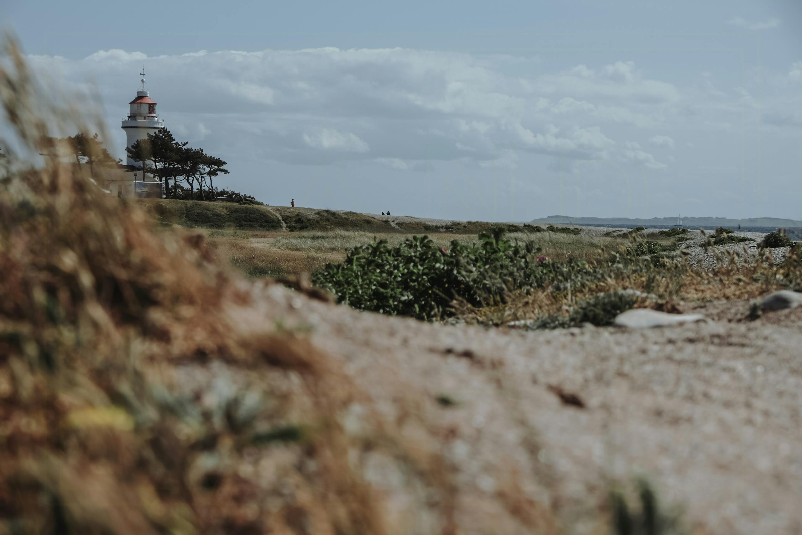 Sommerhuse til din sommerferie