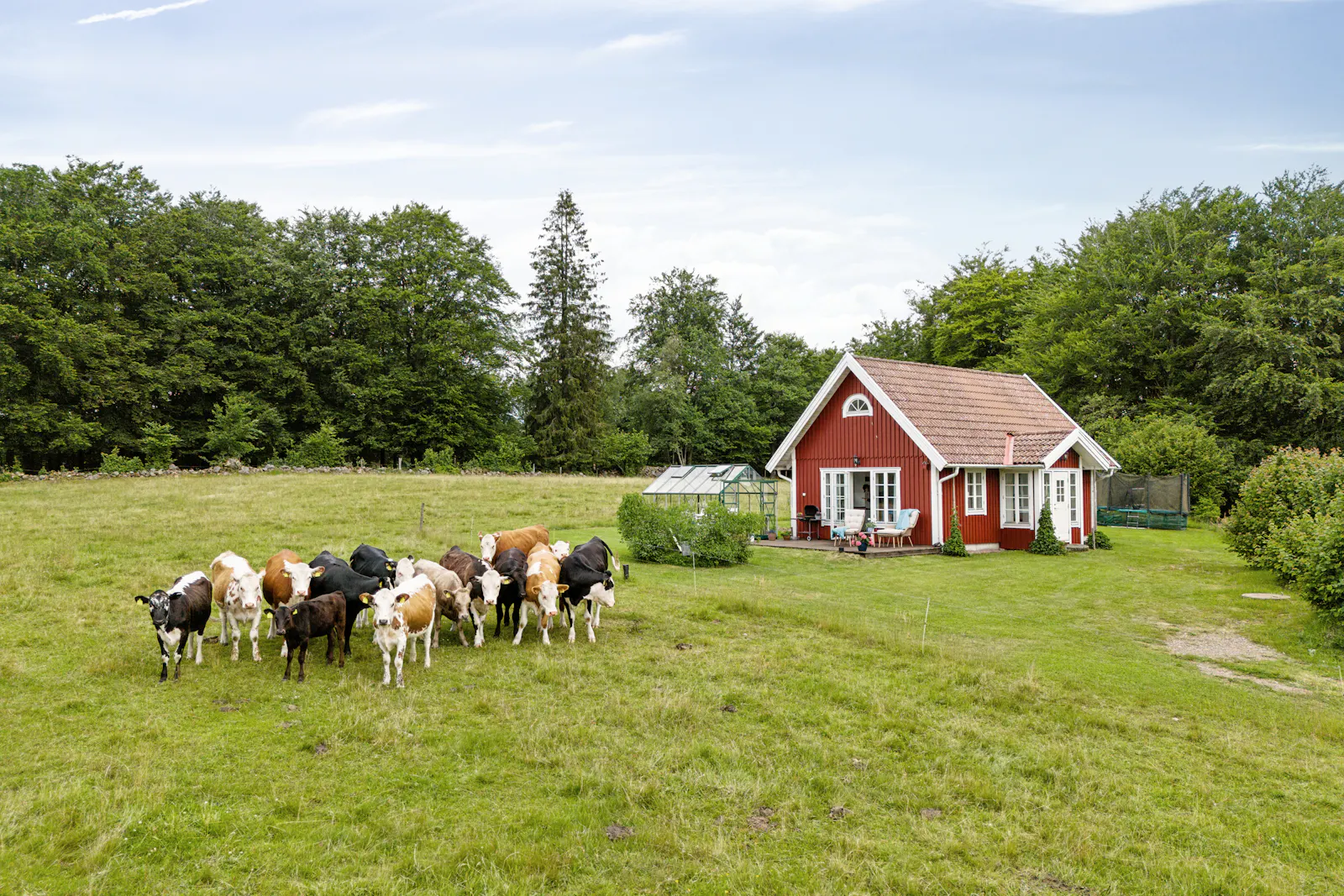 Sjönära sommarstuga med natur i Halland – bild 23 av 24