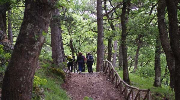 Piano dell' Acqua -- Monte Calanna: for fugleentusiasterne