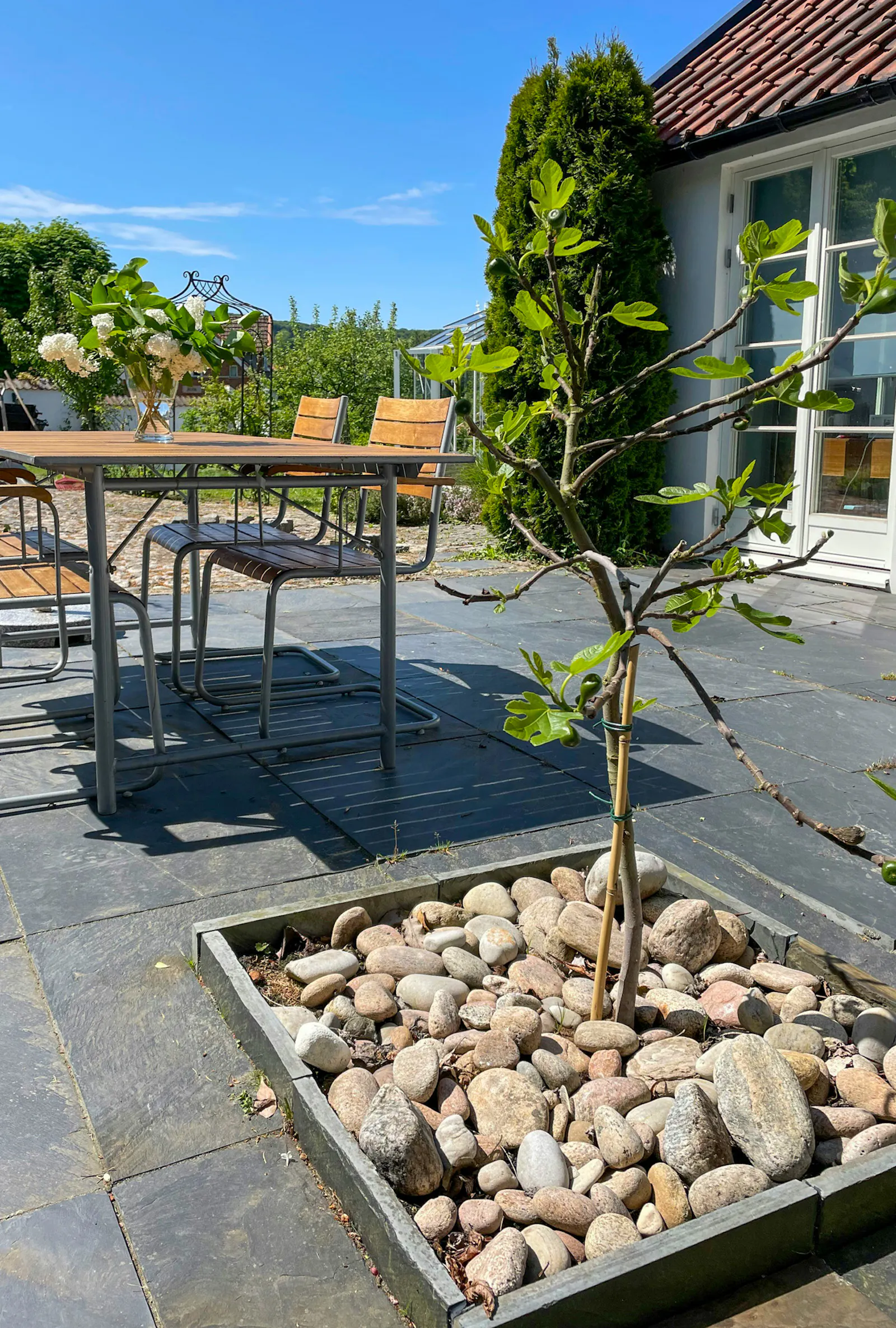 Lugn oas nära havet i Båstad – bild 12 av 20
