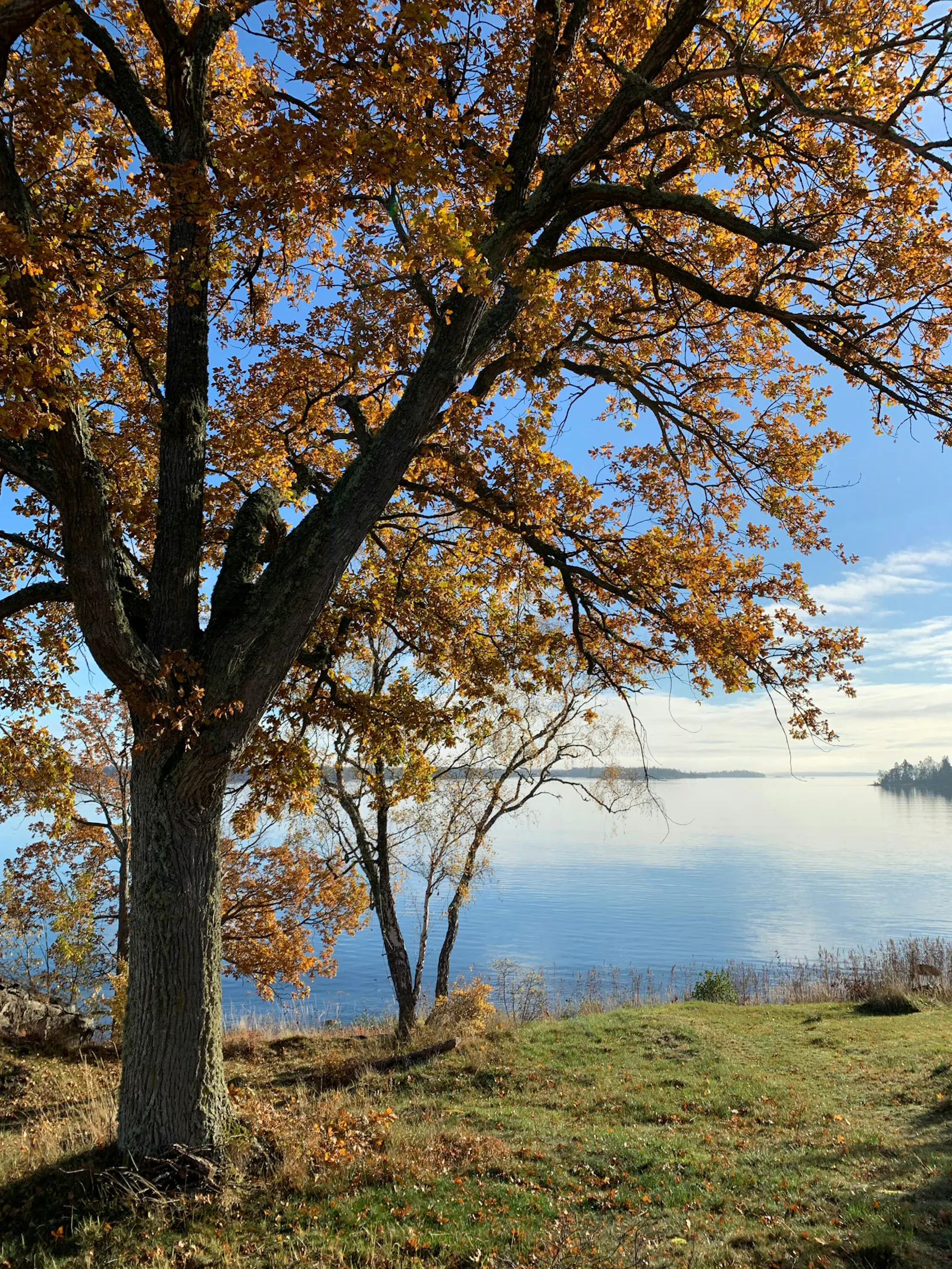 Skärgårdsgård med strand vid Tjocköfjärden – bild 24 av 24