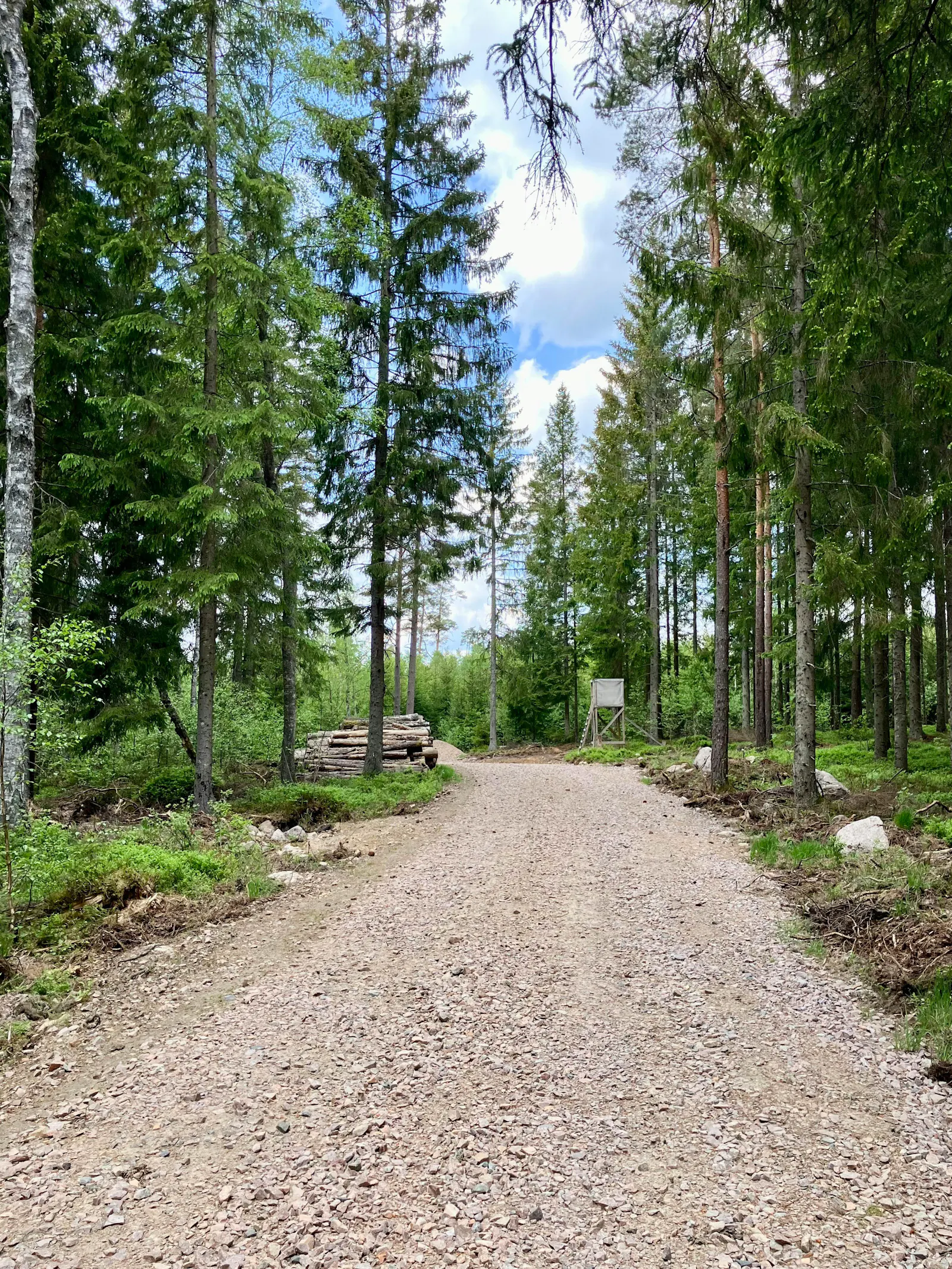 Traditionellt svenskt hus i skogens djup – bild 23 av 24