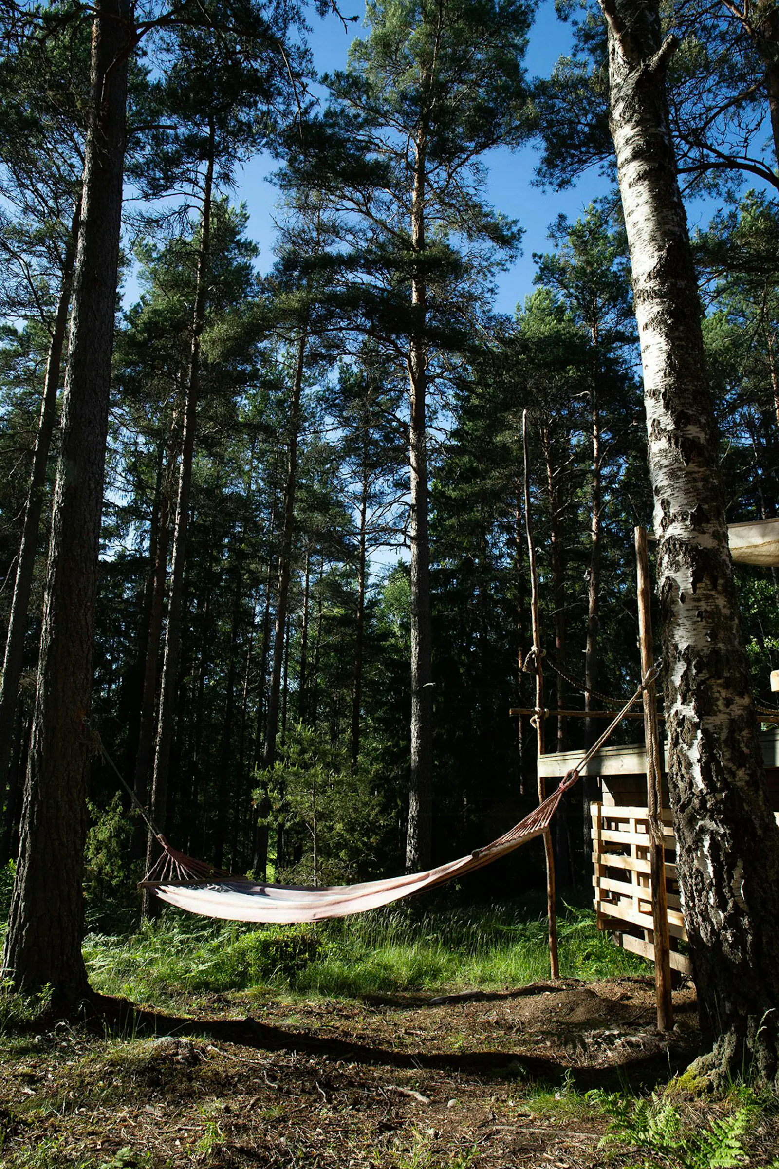 Charmigt Tiny House nära skog och sjö – bild 3 av 24