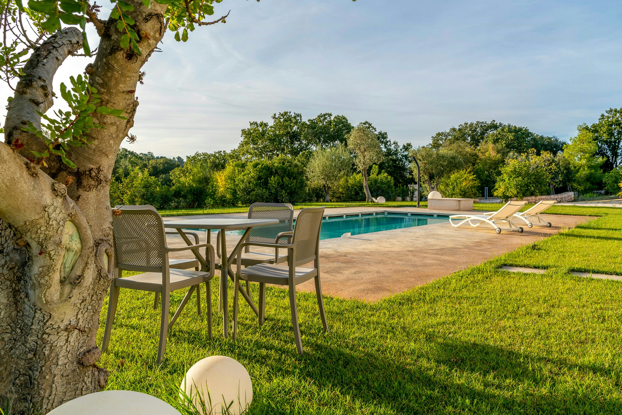 Puglia cover image