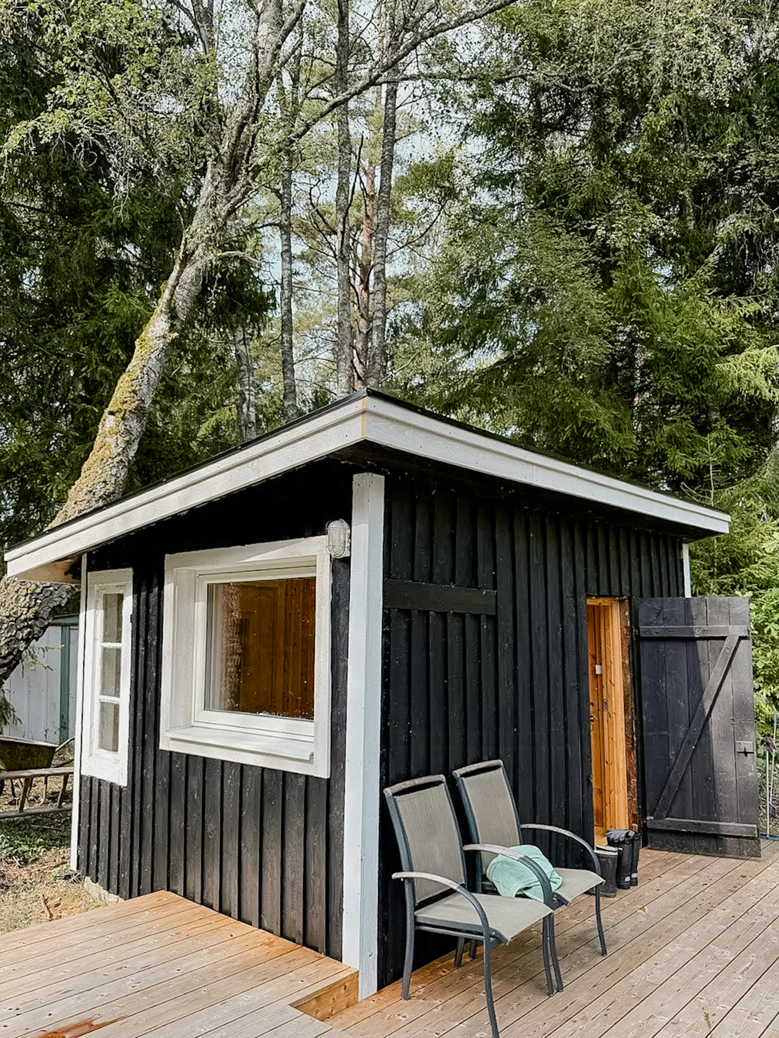 En gammal vattenkvarn vid en bäck och en vacker skog – bild 24 av 24