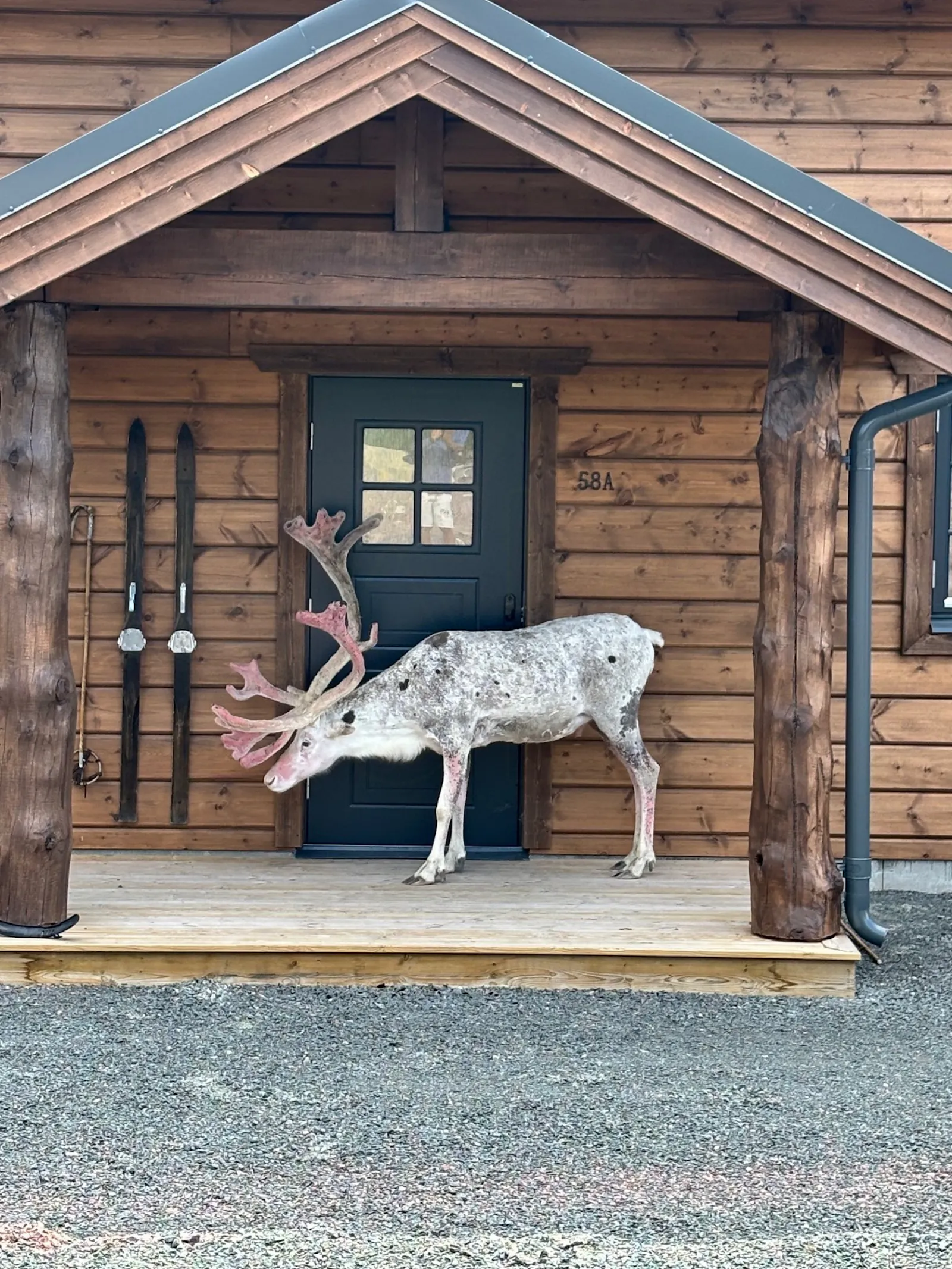 Mountain lodge med utsikt över Idres toppar – bild 3 av 24