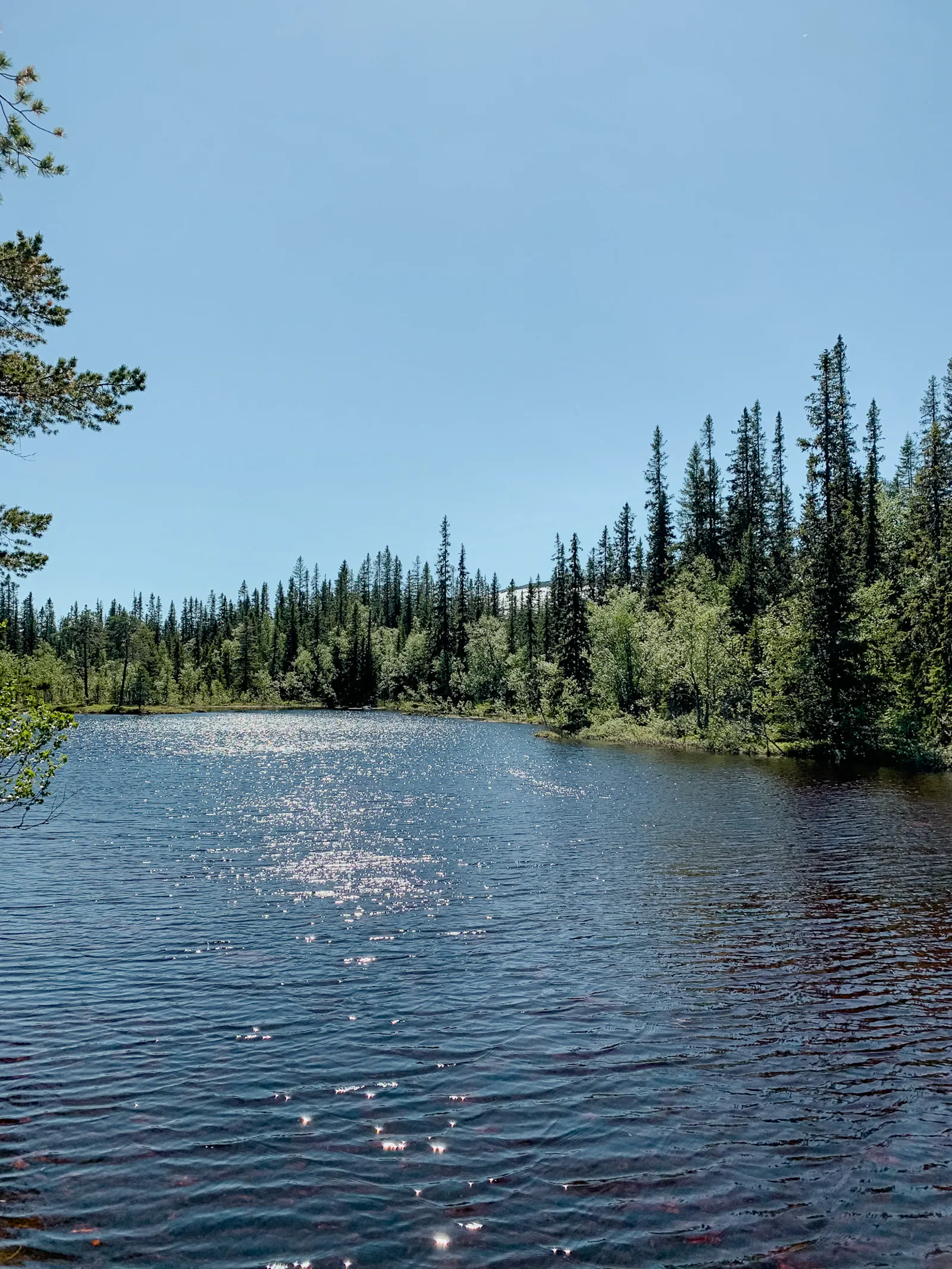 Bergsstuga med panoramautsikt för aktiv semester – bild 16 av 20