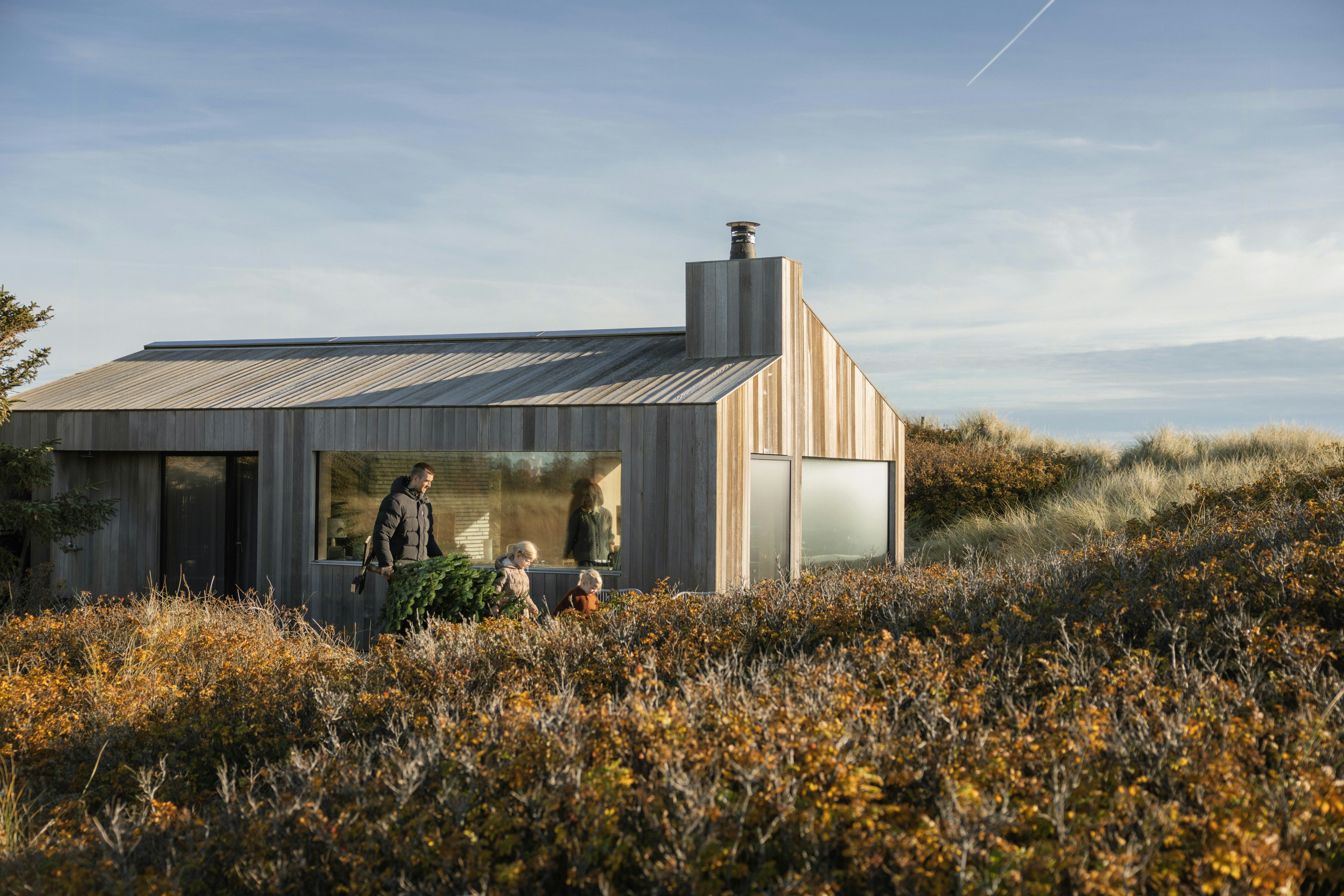 Christmas Holidays and New Year's Eve cover image