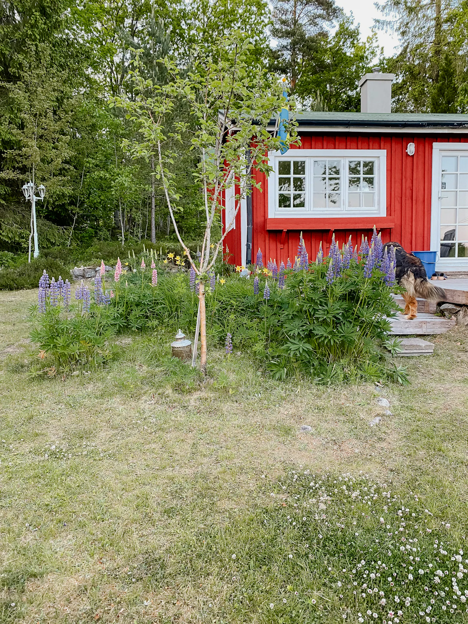 Lugnt boende nära naturen i Skåne – bild 14 av 17