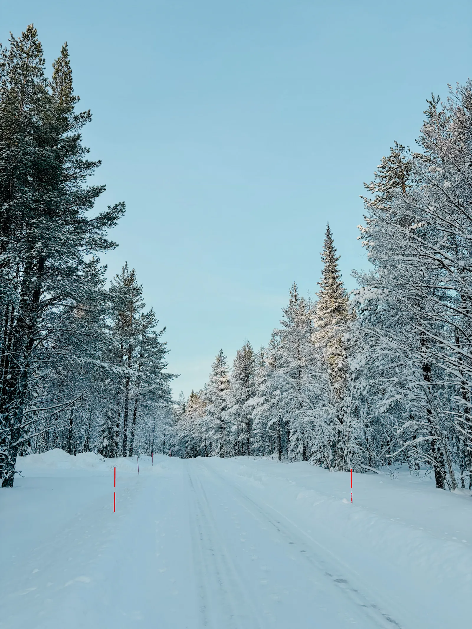 Rymlig fjällstuga bland fjällbjörkar i Vemdalen – bild 4 av 24