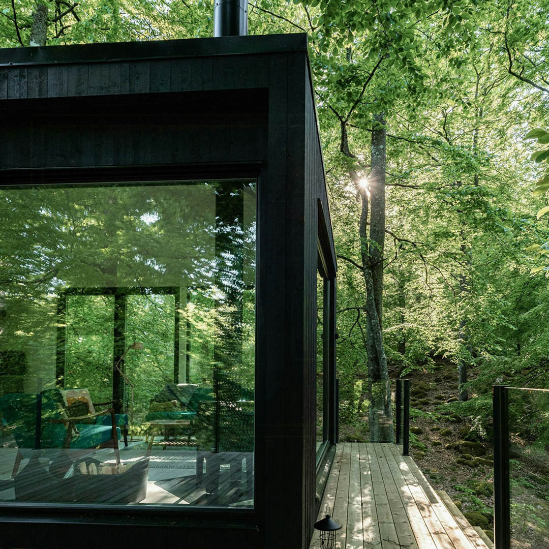 magical forest retreats cover image