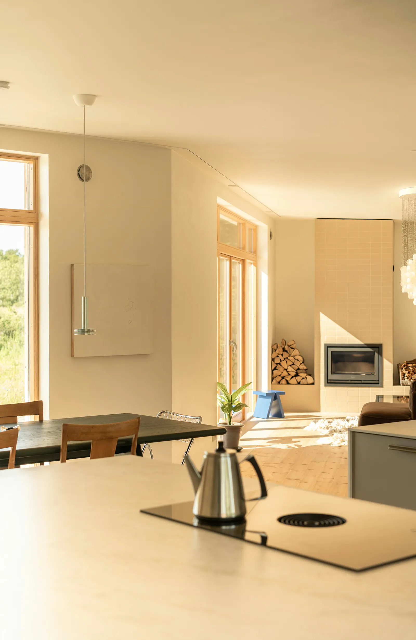 Arkitektritat hus på äng i Torekov – bild 5 av 24