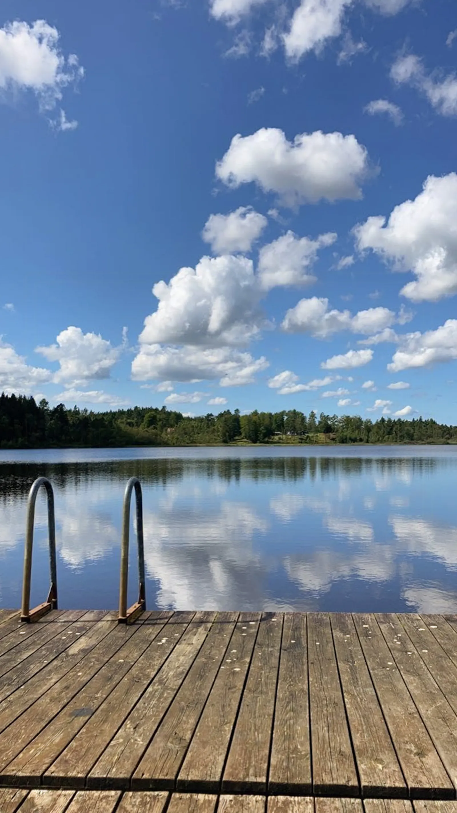 Modernt stenhus med badtunna i Åsljunga skog – bild 24 av 24