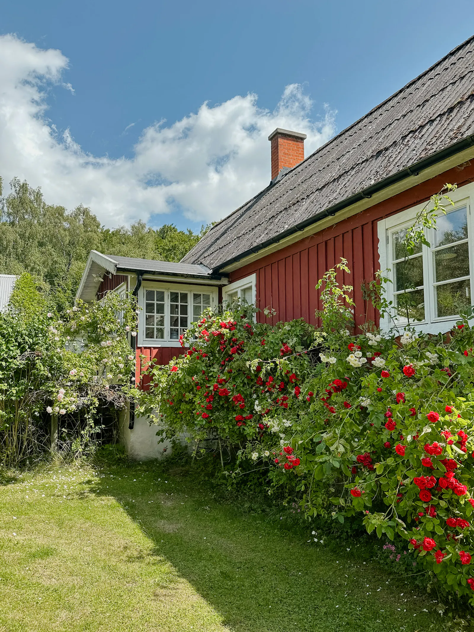 Lantlig bondgård från 1800-talet vid Västra Näs – bild 19 av 24