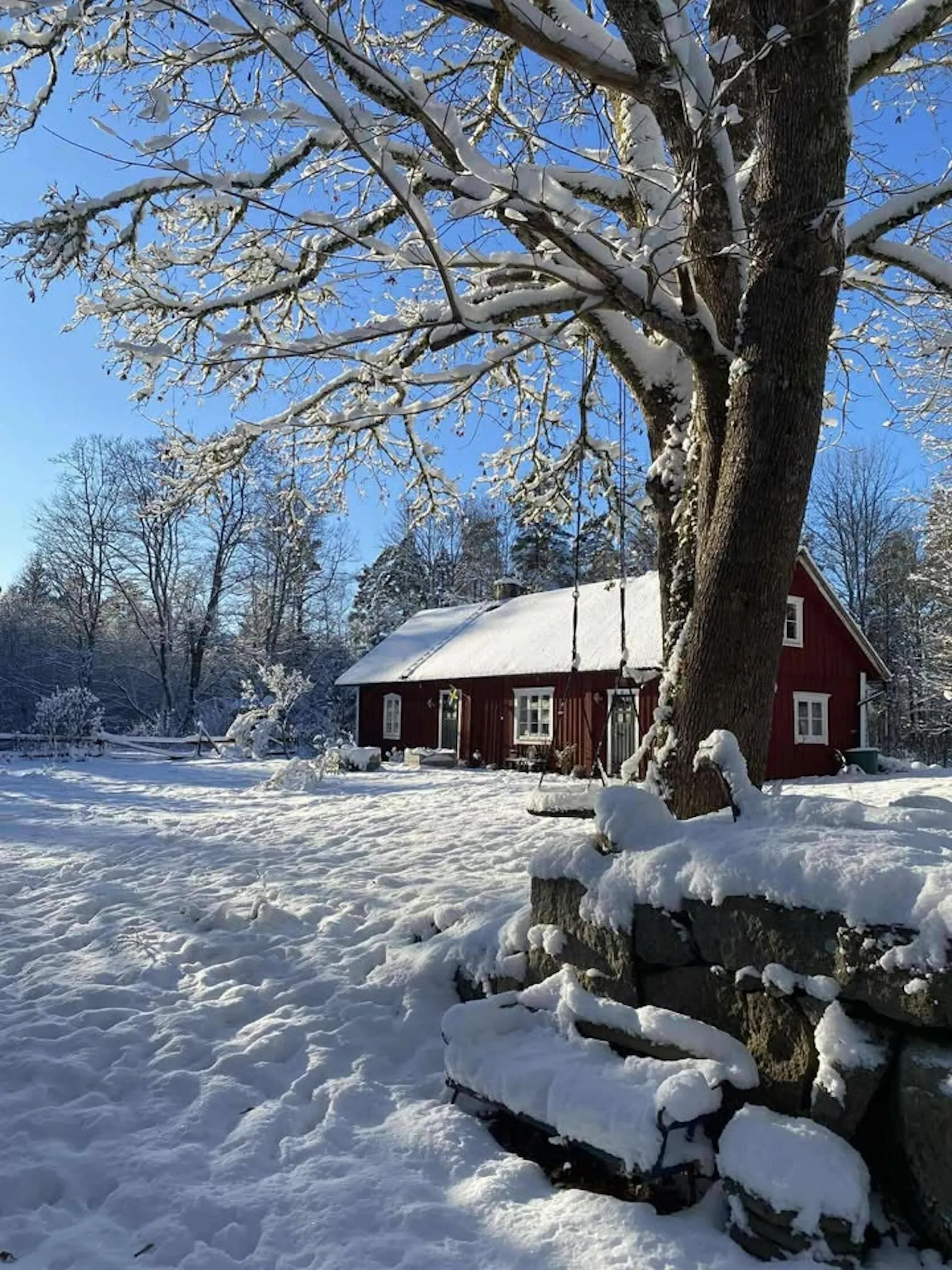Traditionellt svenskt hus i skogens djup – bild 19 av 24