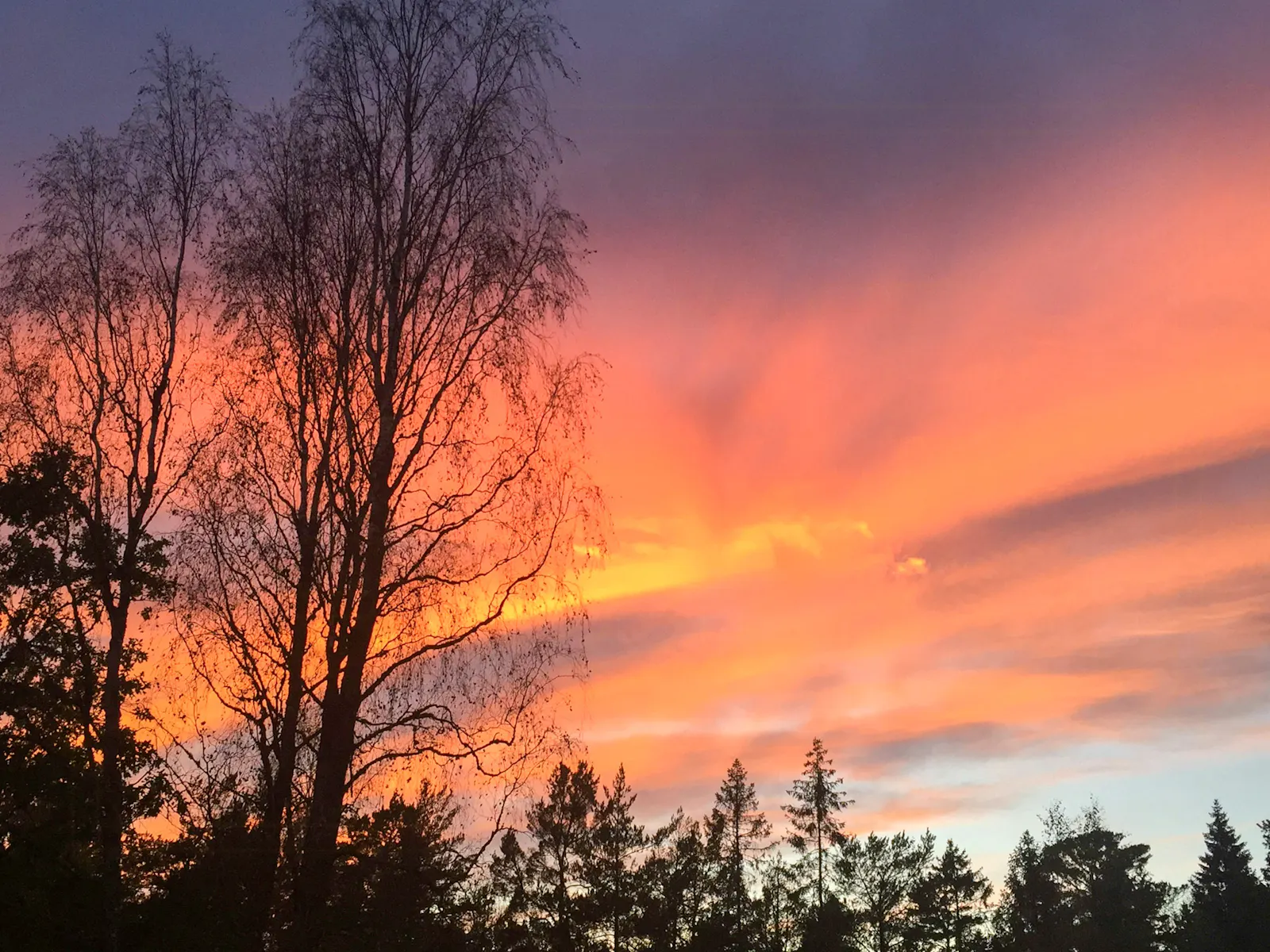 Trähus med tre uteplatser på Torö – bild 21 av 21