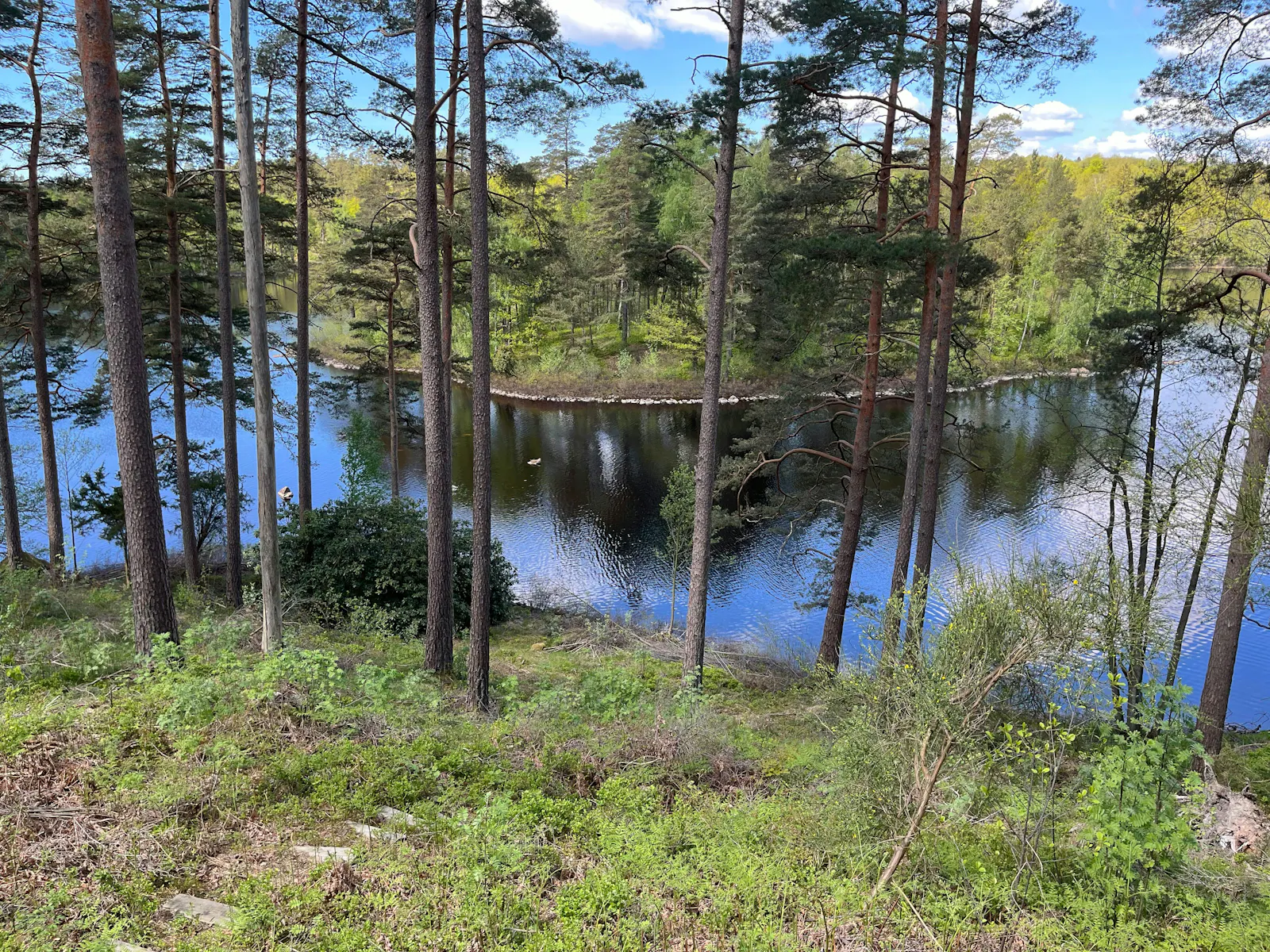 Stuga vid Simlången med utsikt över vattnet – bild 4 av 24