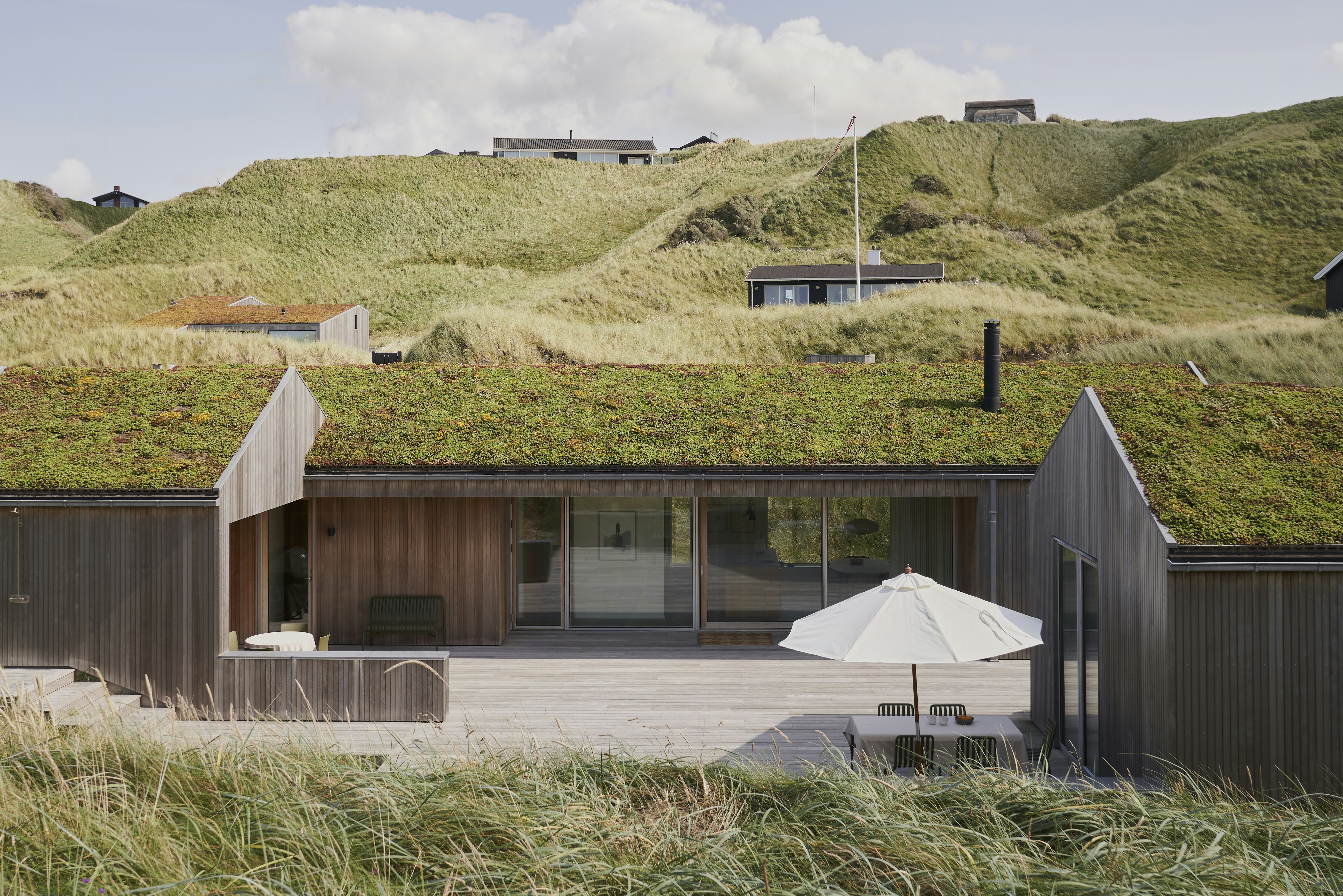 In the Danish dunes by the sea cover image