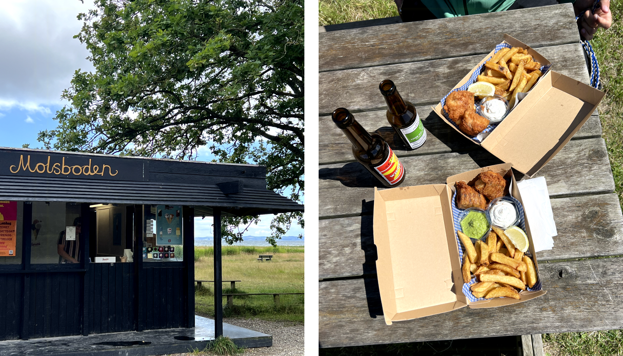 Molsboden und Fisken