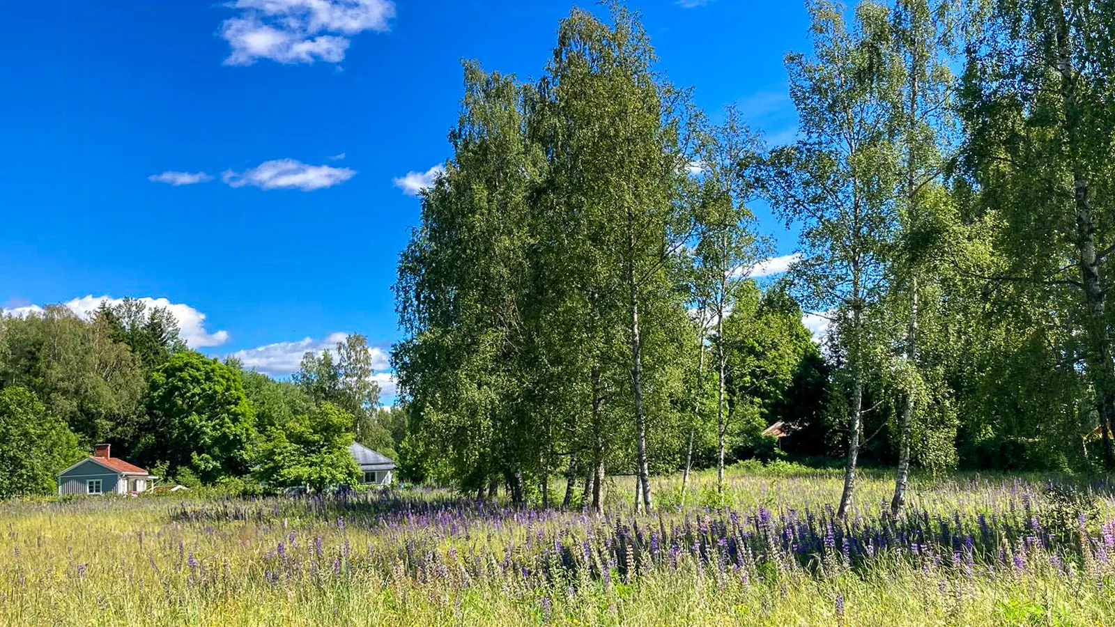 Mysigt svenskt hus vid Fryken med öppen spis – bild 21 av 24