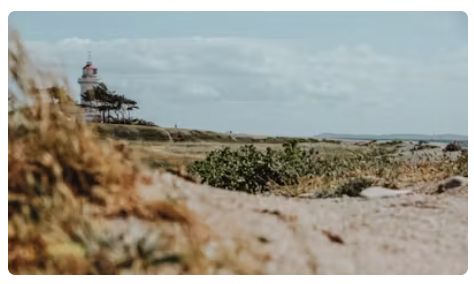 Eine Reise zu Dänemarks malerischer Küste: Wo man in Djursland essen, schlafen und die Natur genießen kann