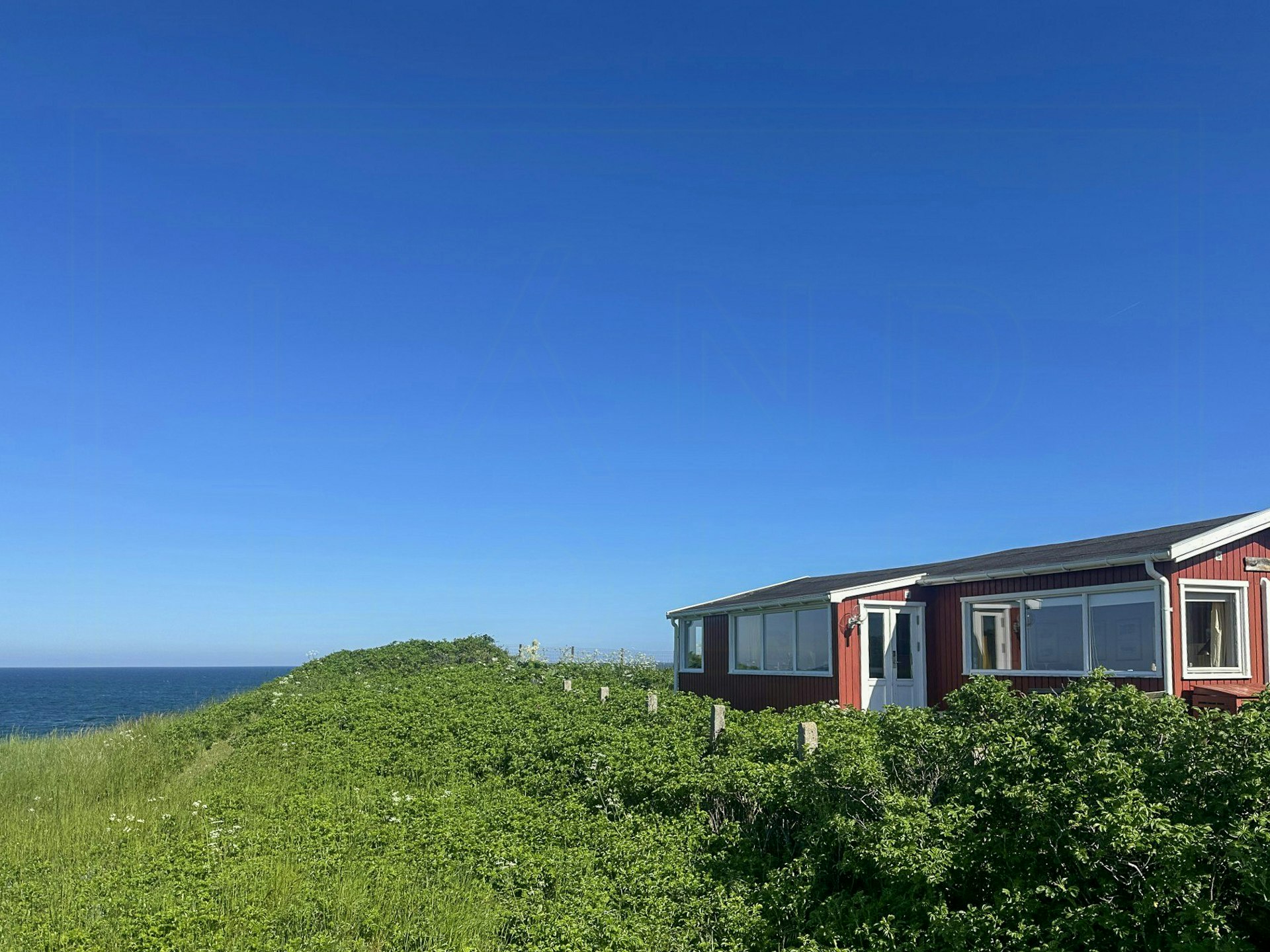 Lynæs cover image