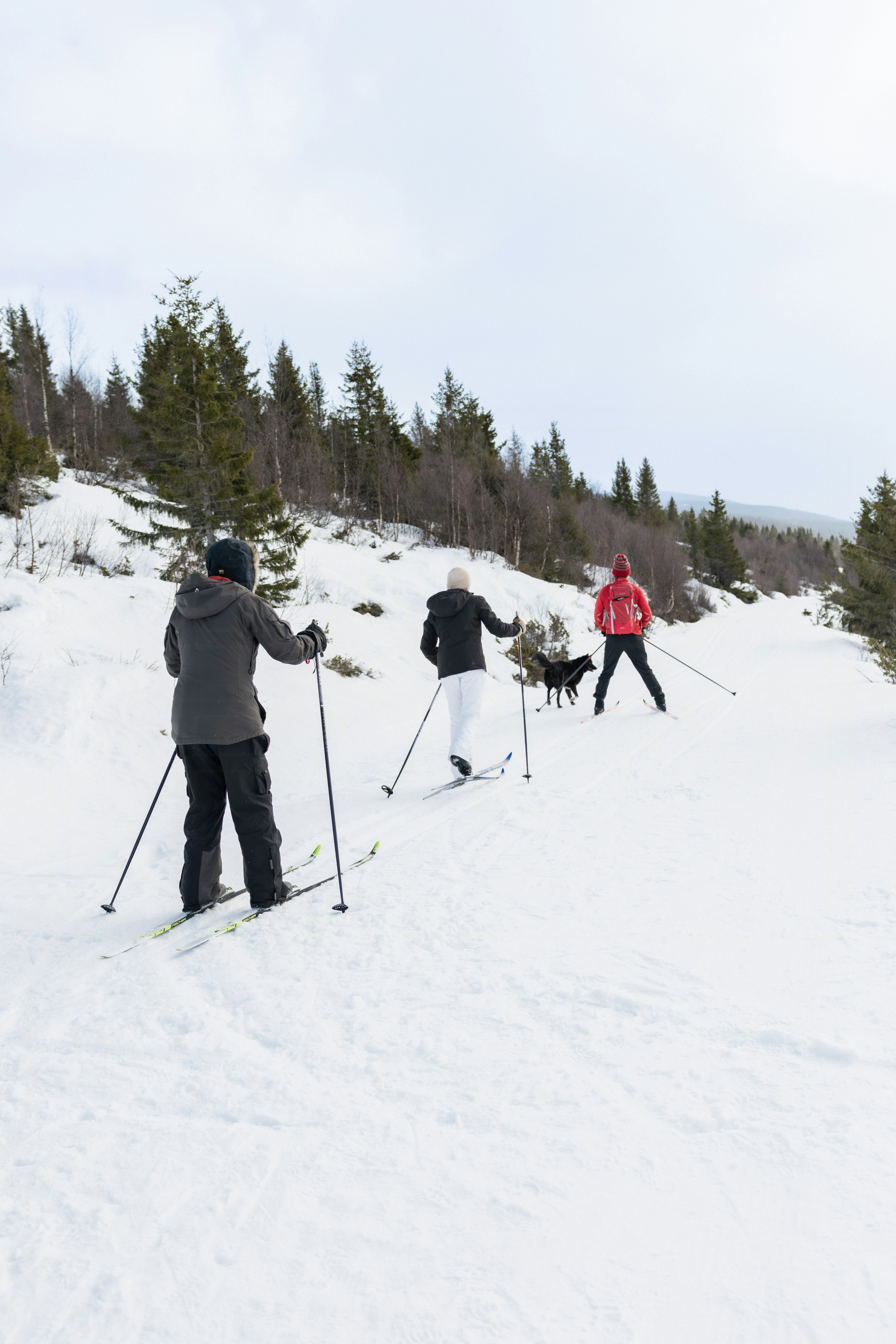 Stugor nära längdspår cover image