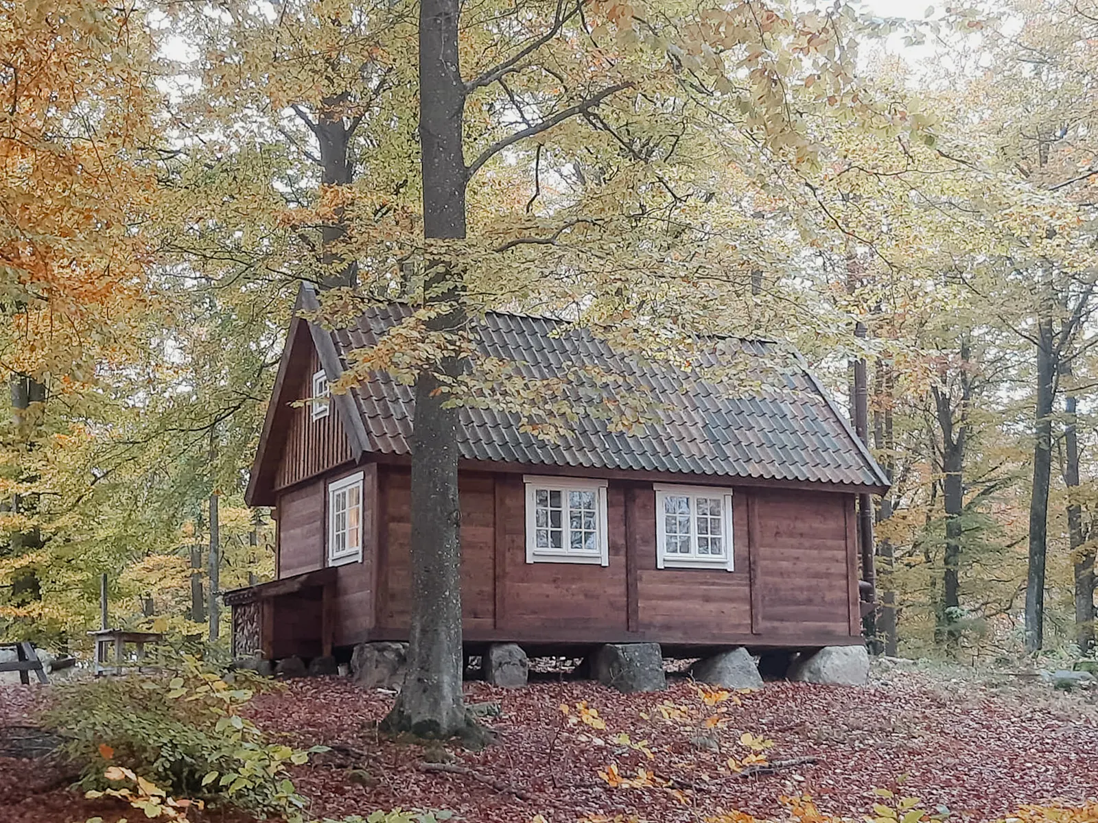 Stuga av skogens virke nära Örkelljunga – bild 19 av 21