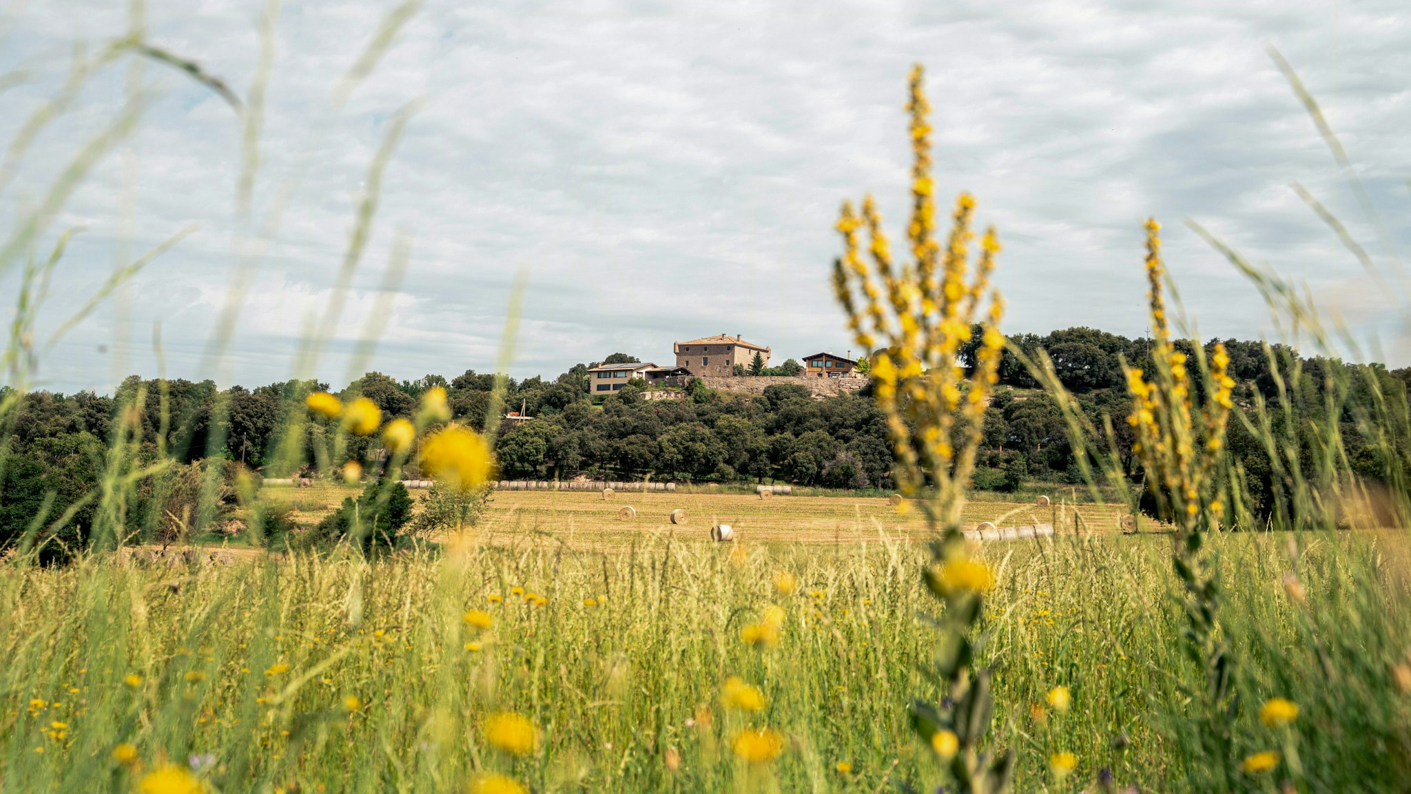 Lluçanès cover image