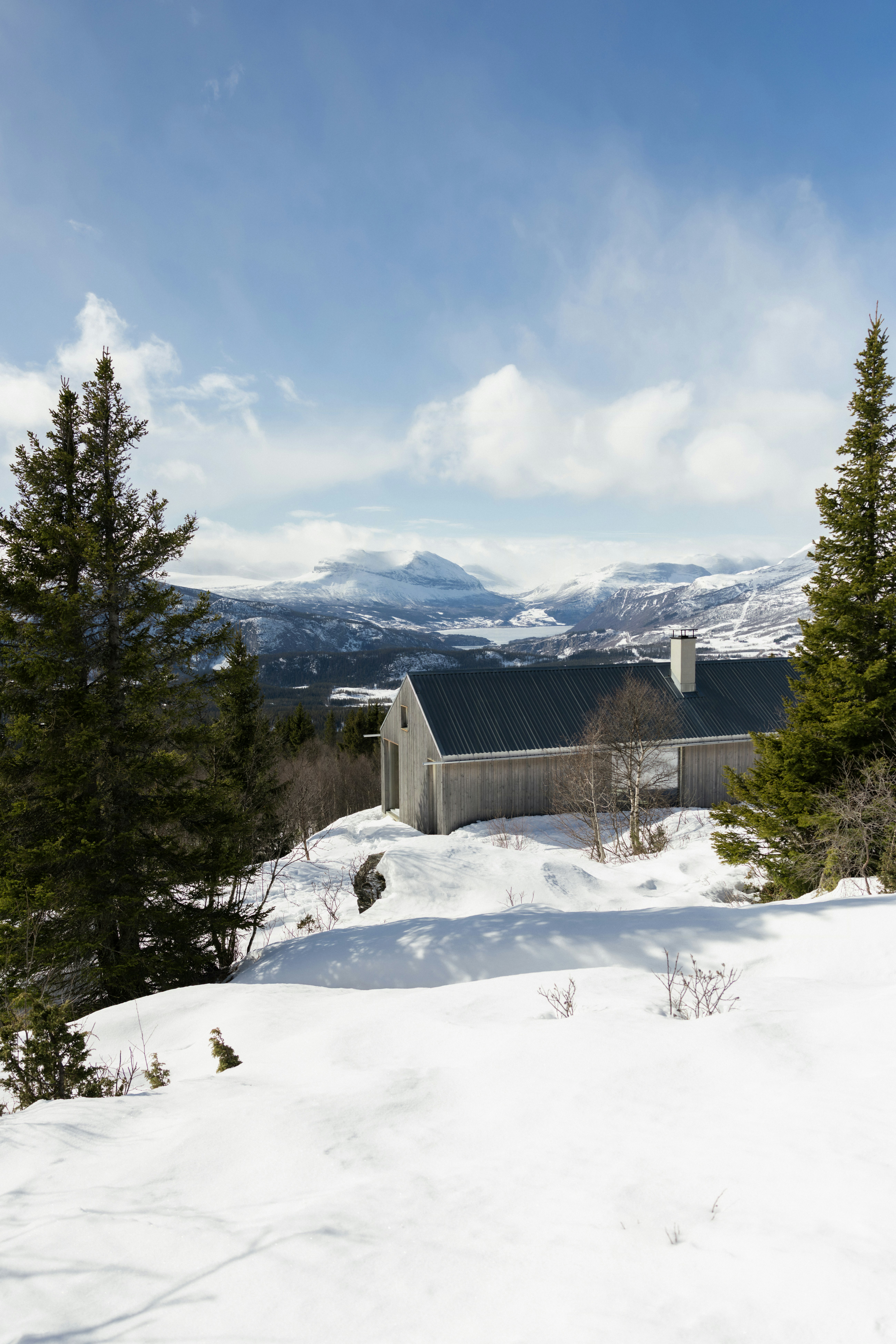 Fjällstugor cover image