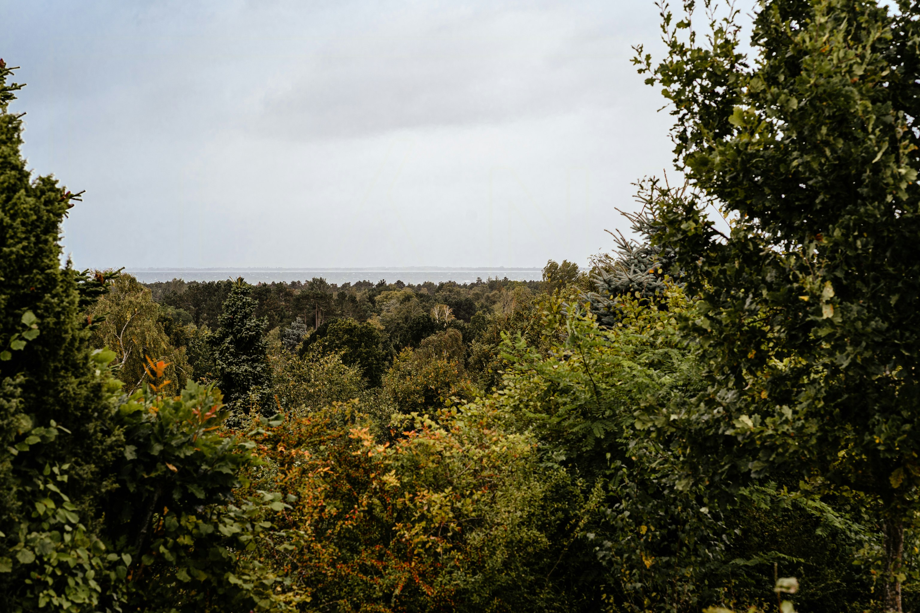 Bedste udsigtspunkter langs Nordsjællands kyst, du ikke vidste fandtes