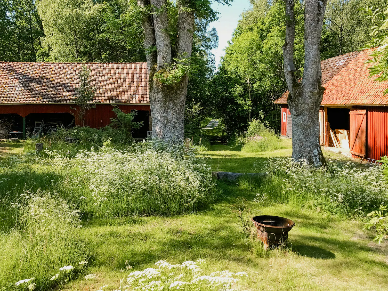 Konstnärshem med vild trädgård i Skärserås – bild 3 av 24