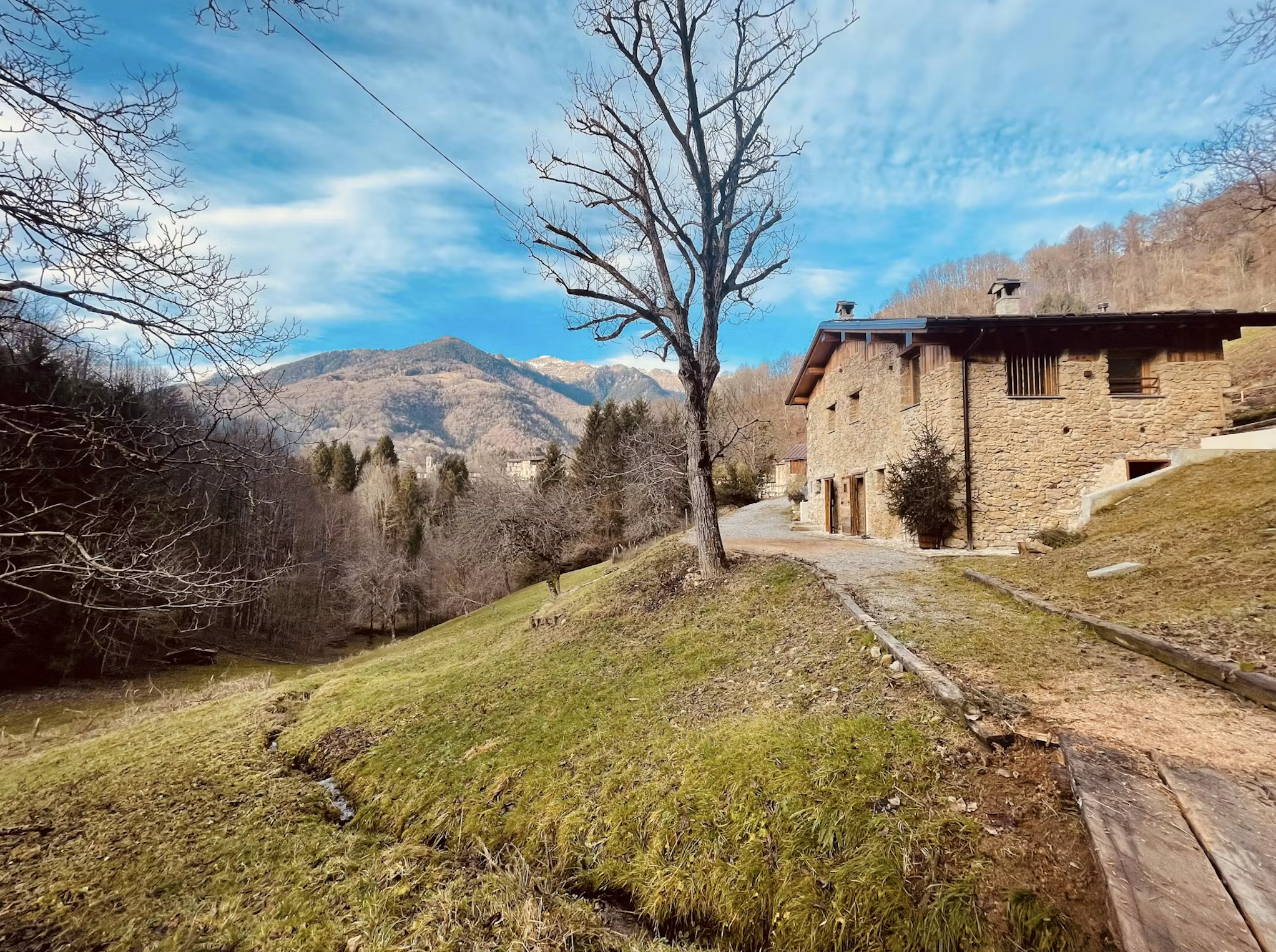 Bergamo cover image