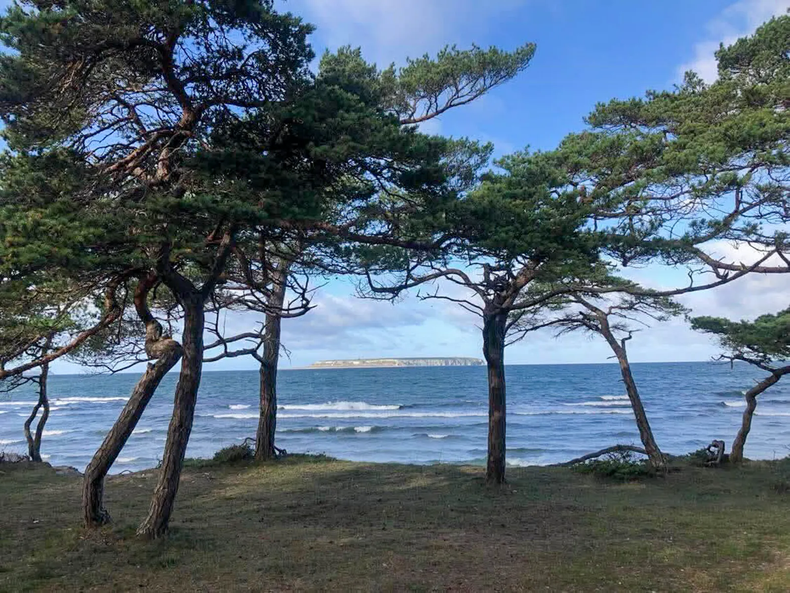 Modernt arkitektritat ladhus vid Ekstakusten – bild 16 av 18