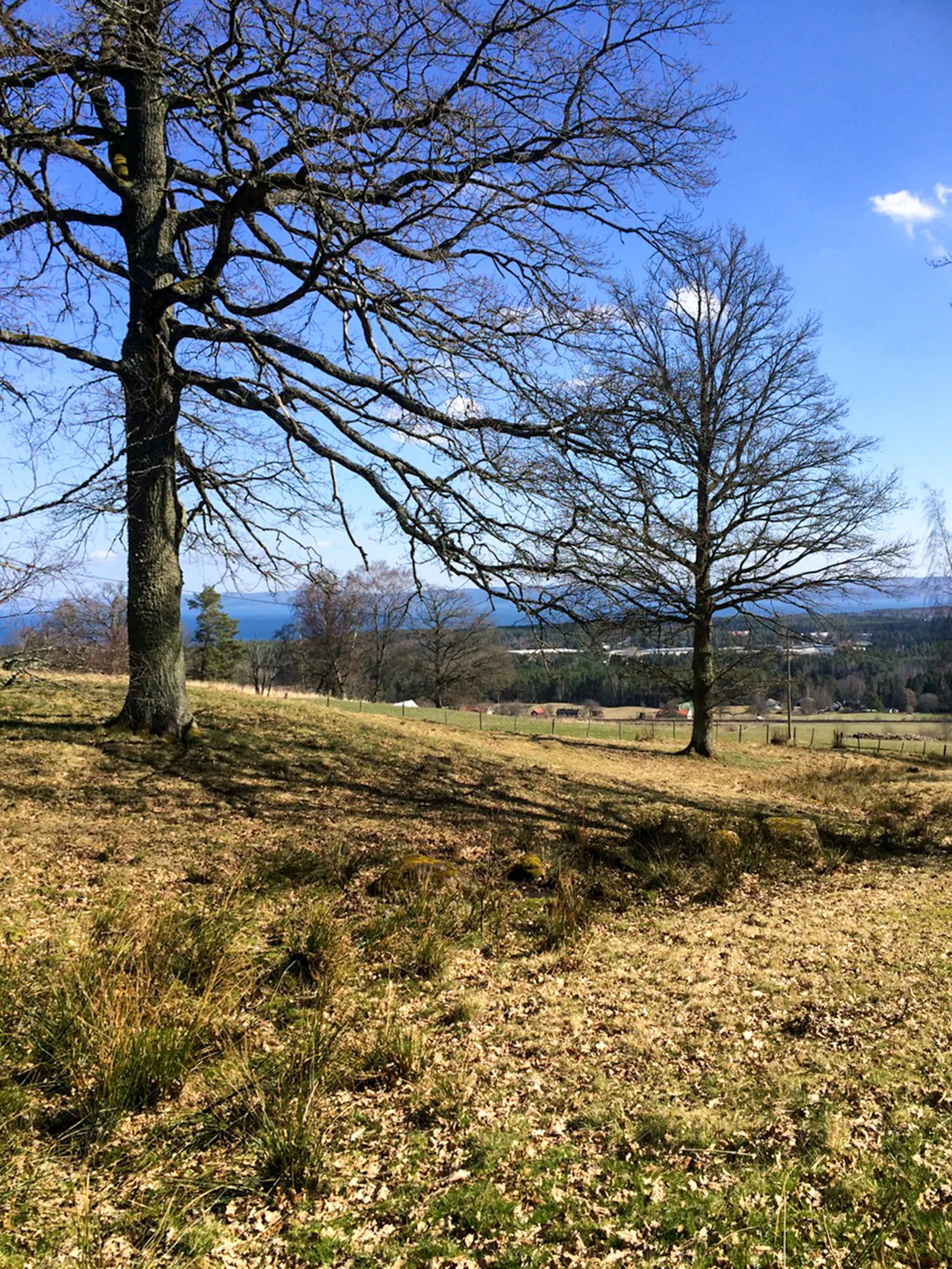 Stuga med utsikt över böljande fält – bild 19 av 19