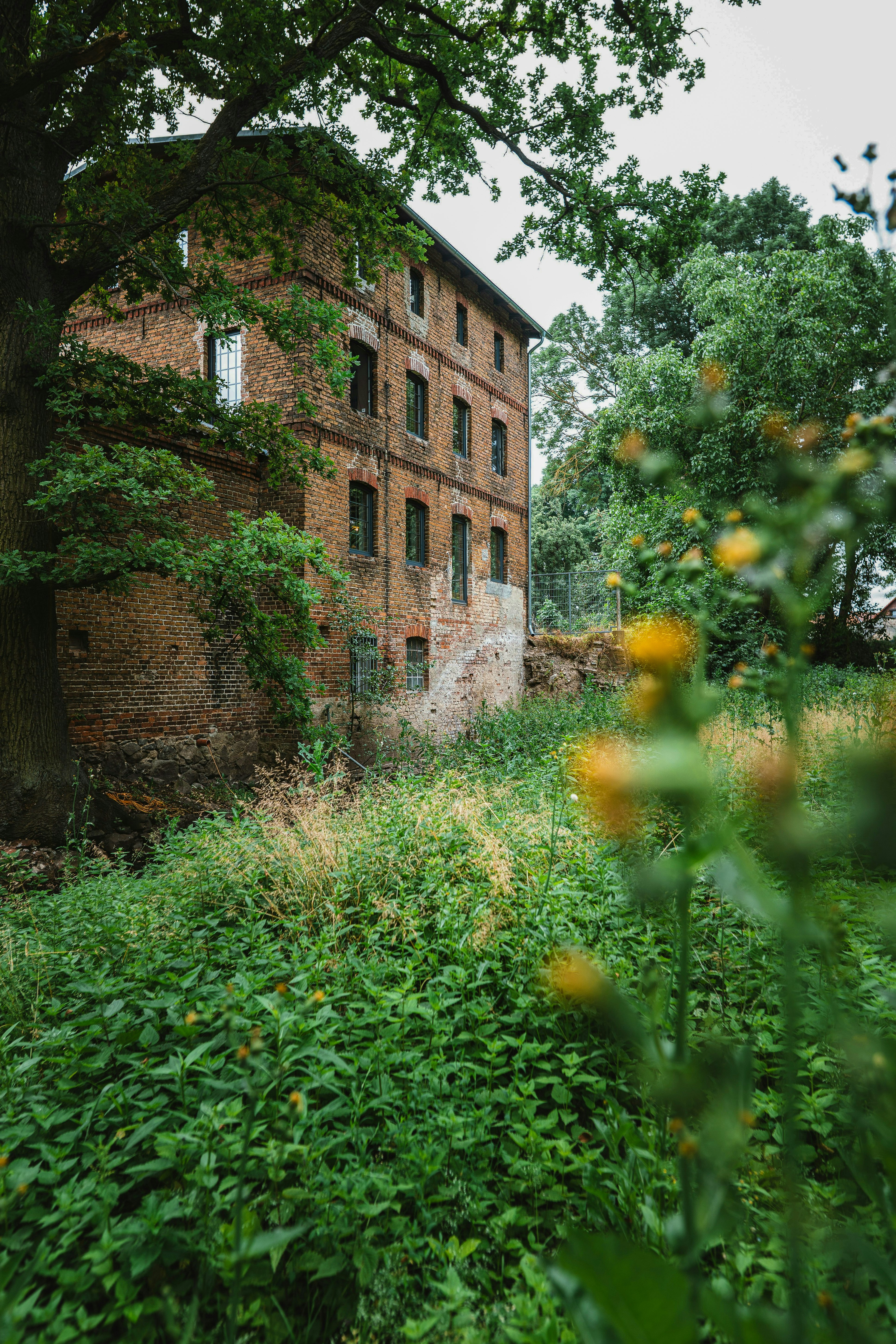 Brandenburg cover image