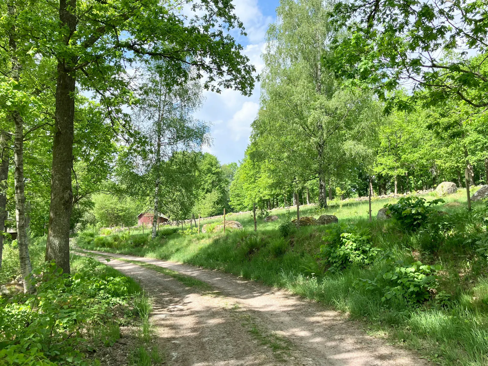 Traditionellt svenskt hus i skogens djup – bild 22 av 24