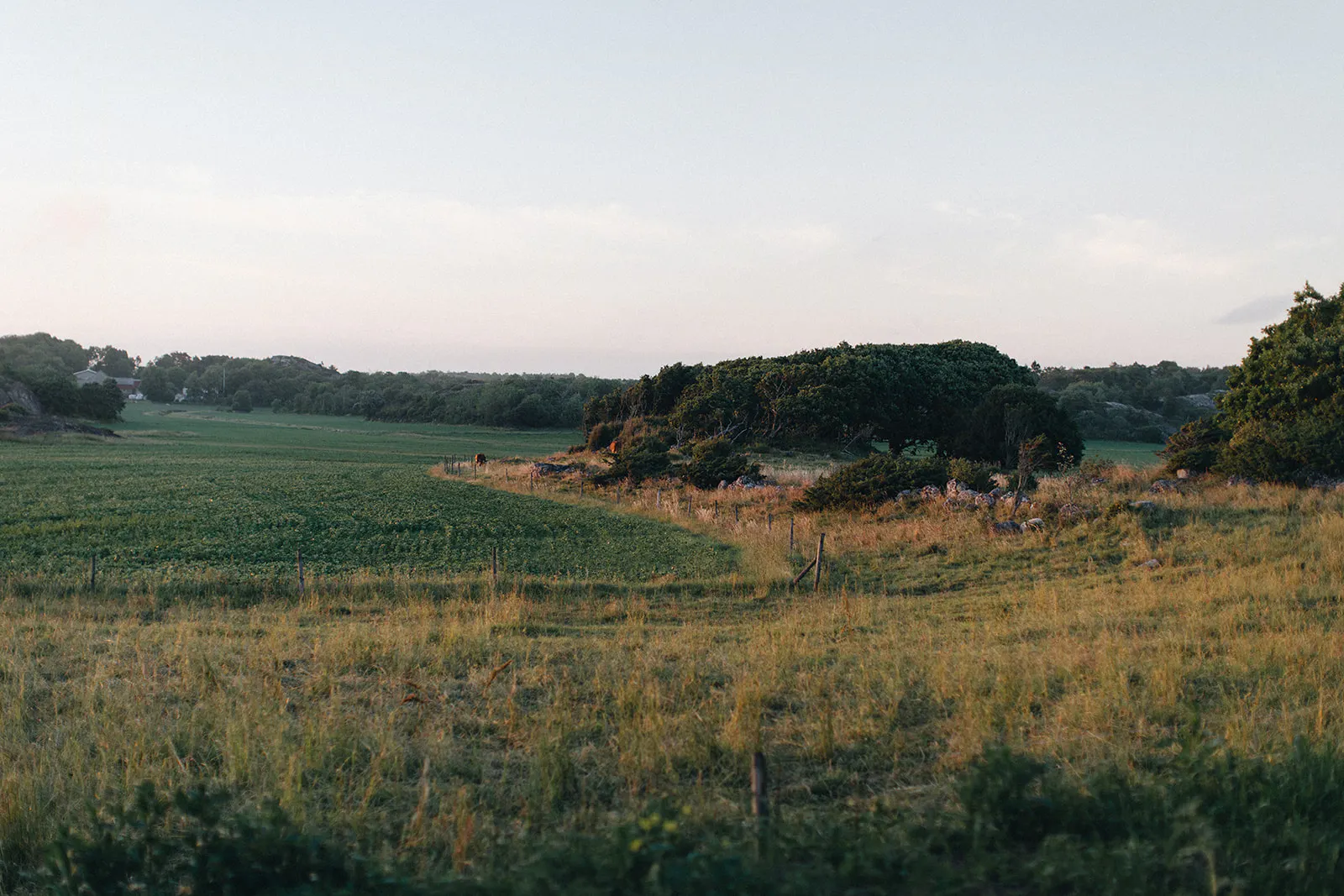 Elegant hus vid Tjurpannans naturreservat – bild 18 av 18
