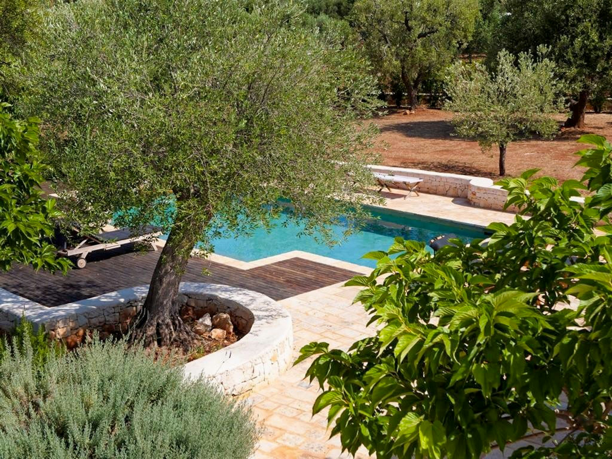 Carovigno cover image