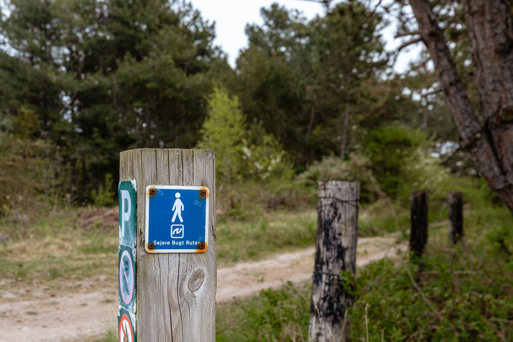 Snør vandrestøvlerne: De 4 bedste vandreruter i Odsherred