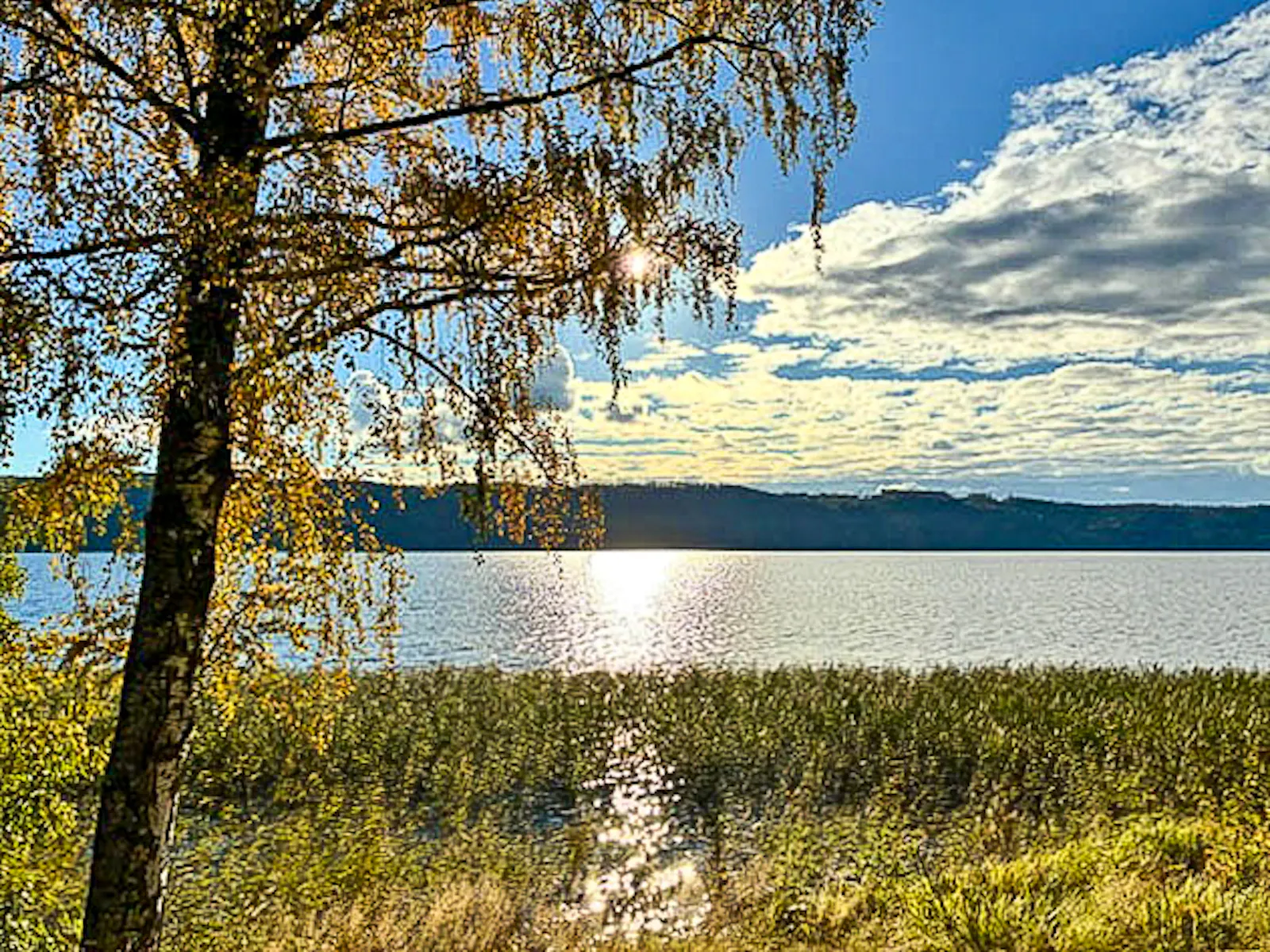Mysigt svenskt hus vid Fryken med öppen spis – bild 19 av 24