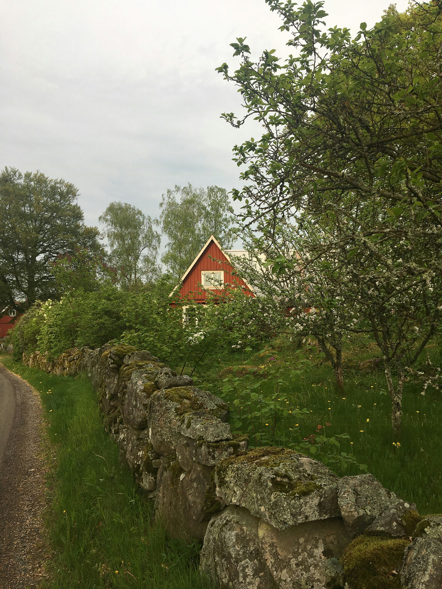 Hästveda Kollo cover image