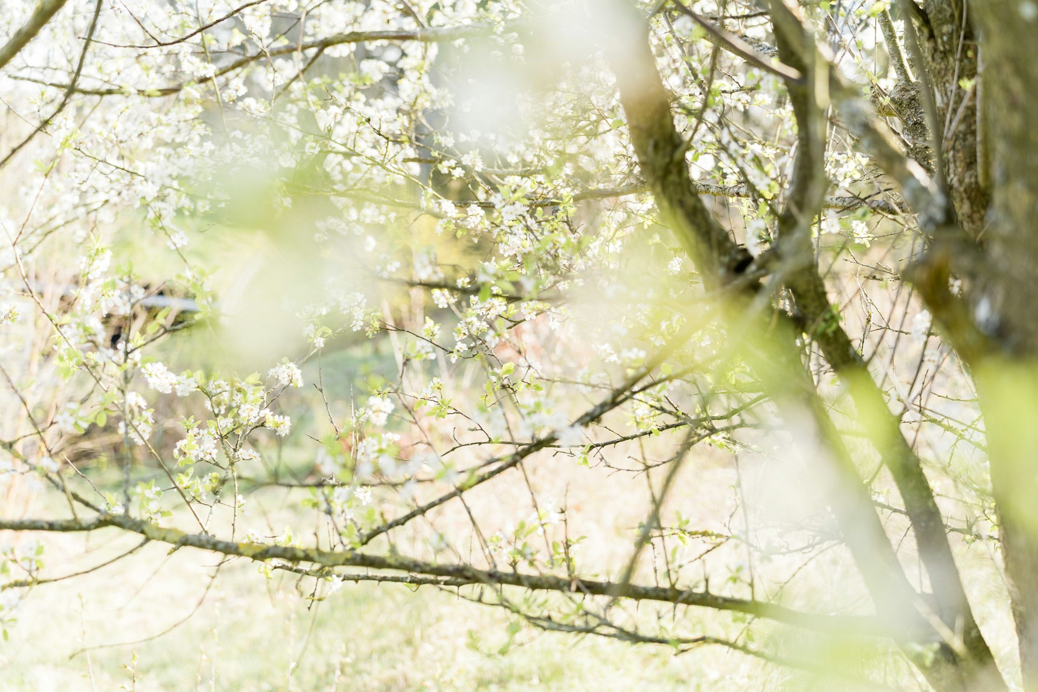 5 spritnye steder, du skal kende til i Nordsjælland