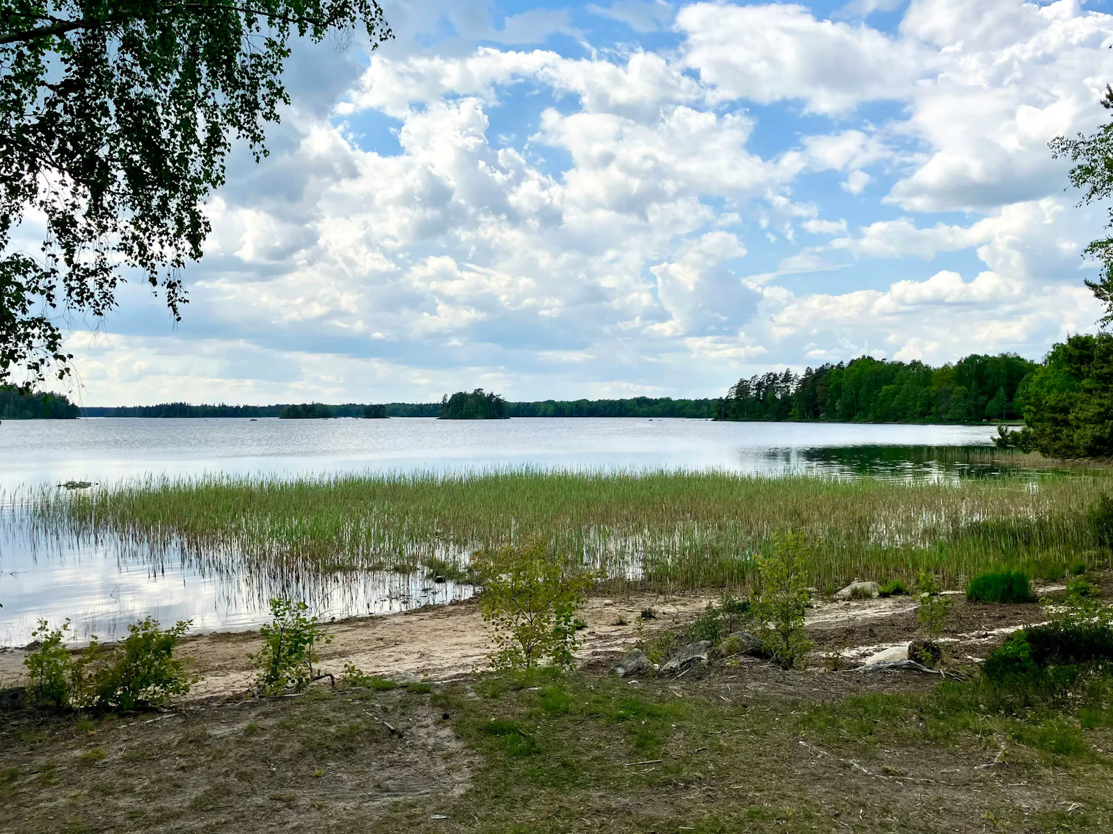 Traditionellt svenskt hus i skogens djup – bild 24 av 24