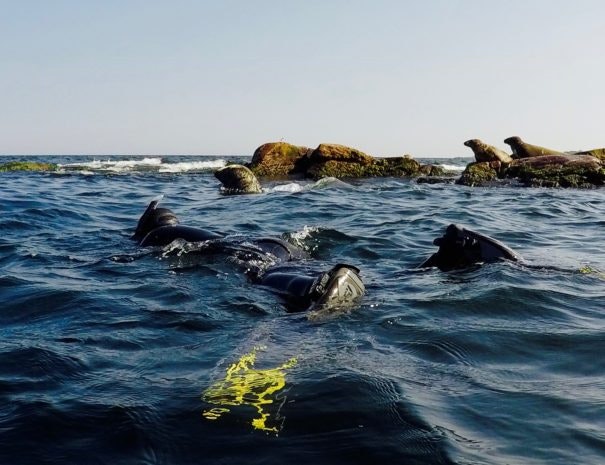 Surf Bornholm