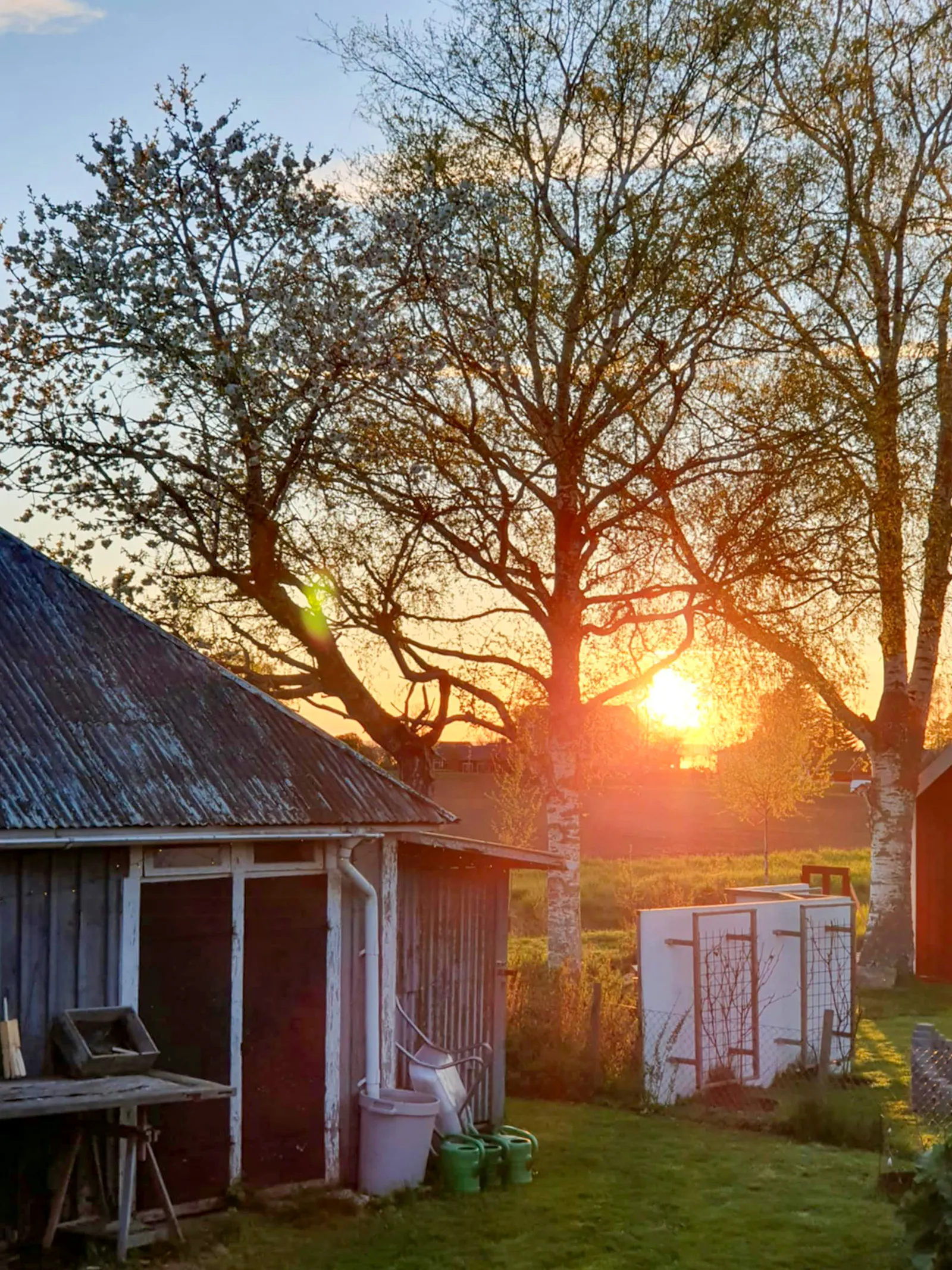 En lugn oas med härlig villaträdgård – bild 23 av 24