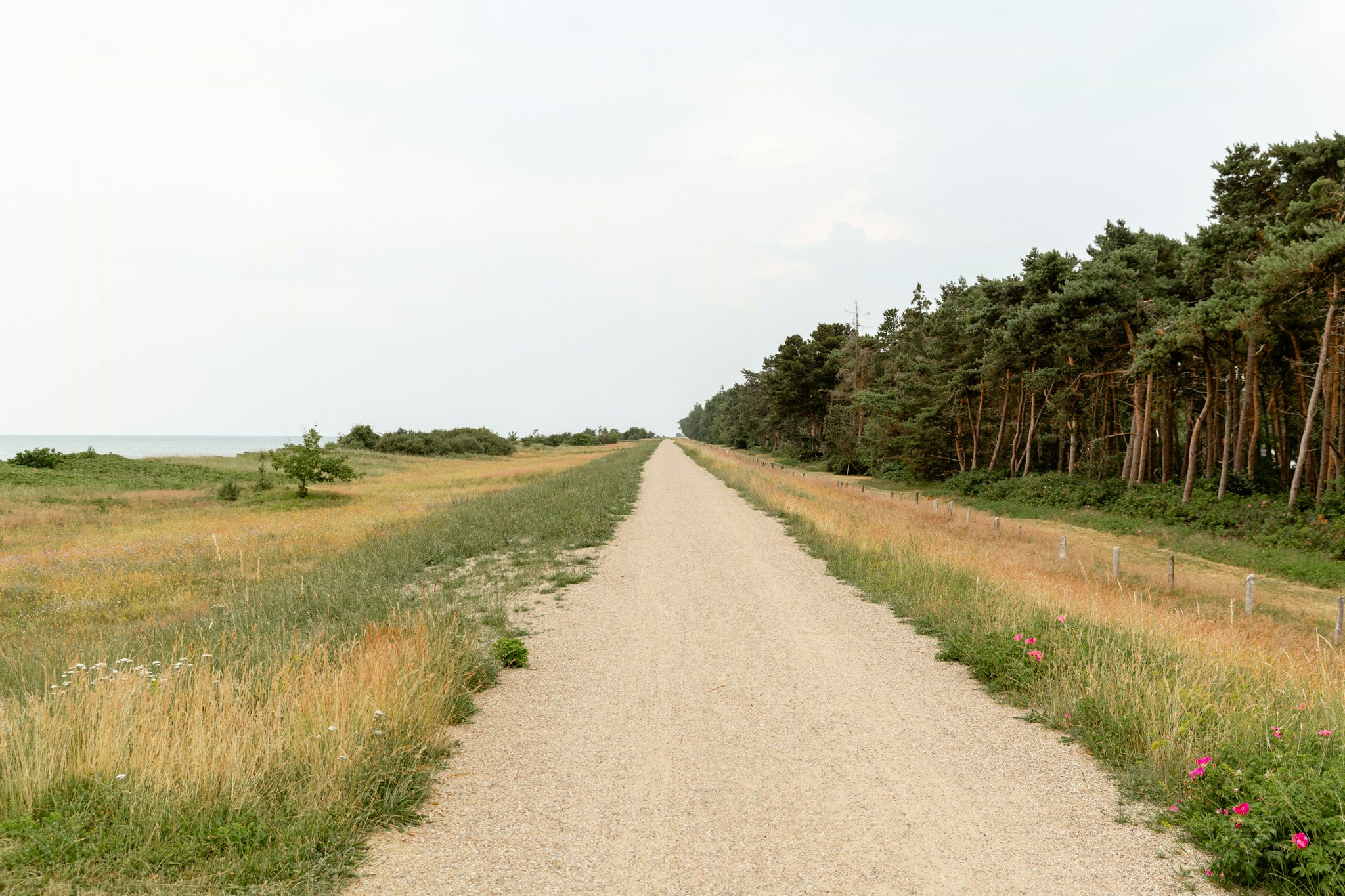 Snør vandrestøvlerne: De 6 bedste vandreruter i Nordsjælland