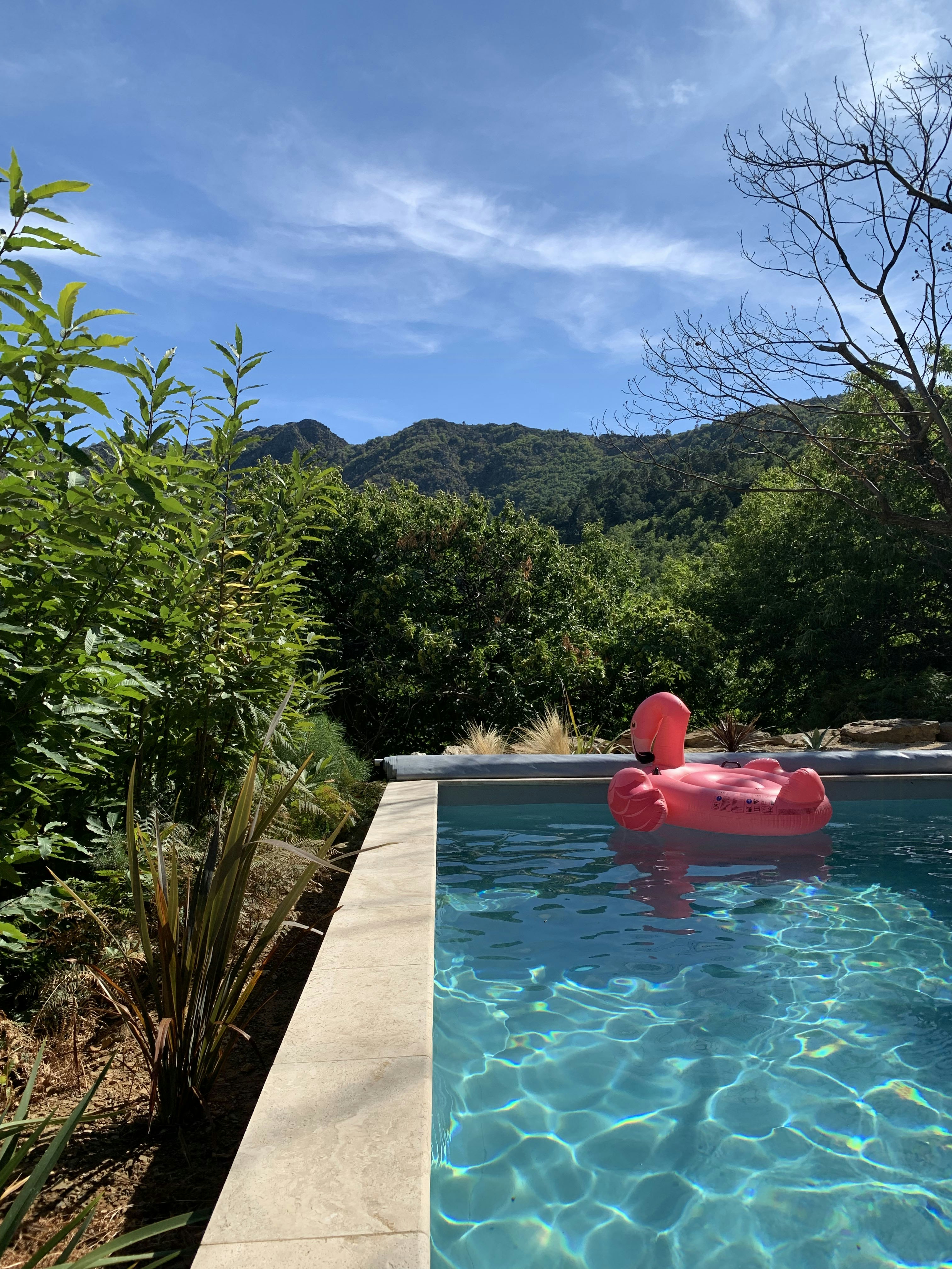 Ferienhaus mit Pool in der Ardèche cover image