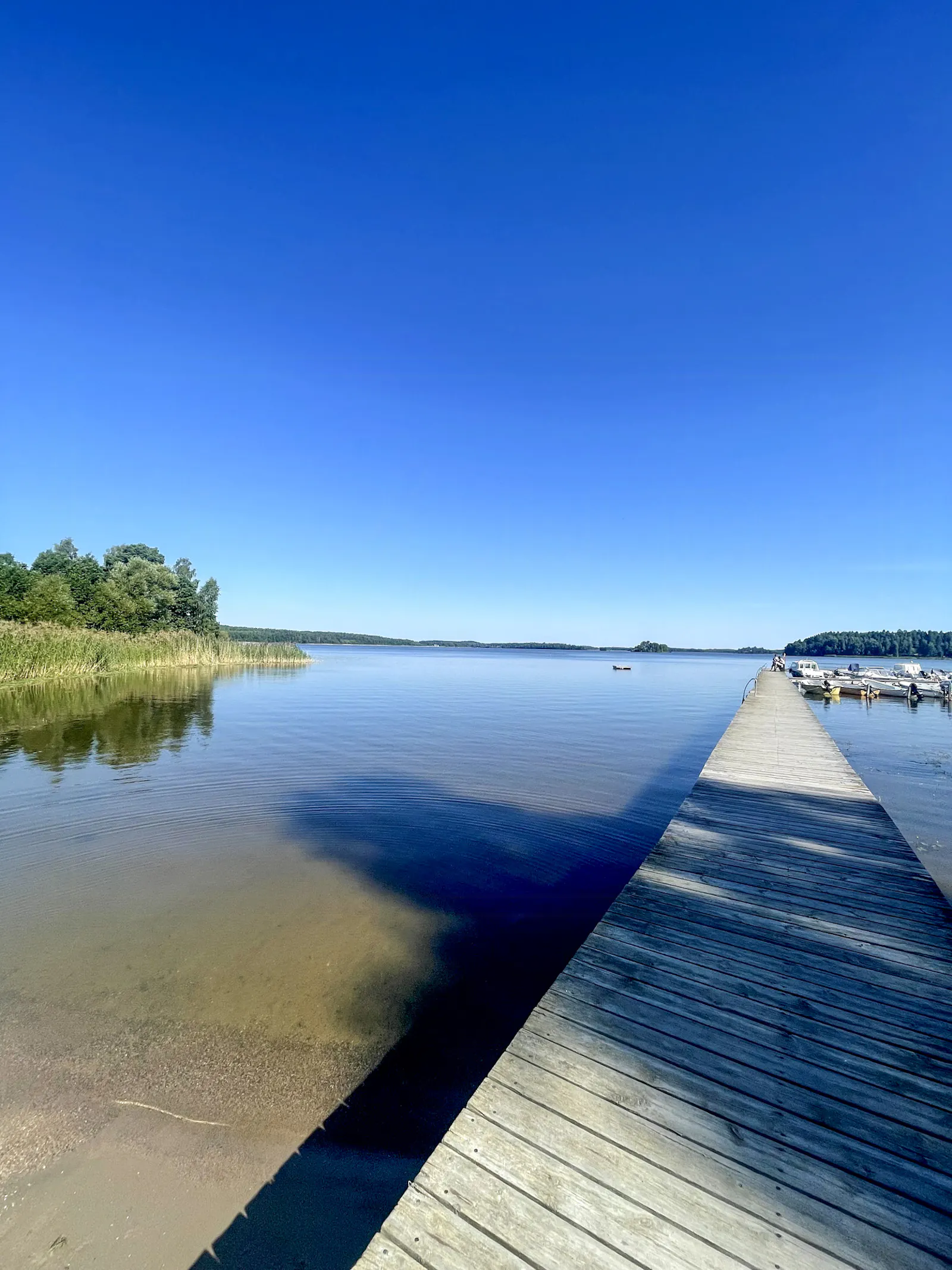 Hus vid skogen mellan Strängnäs och Stockholm – bild 4 av 24